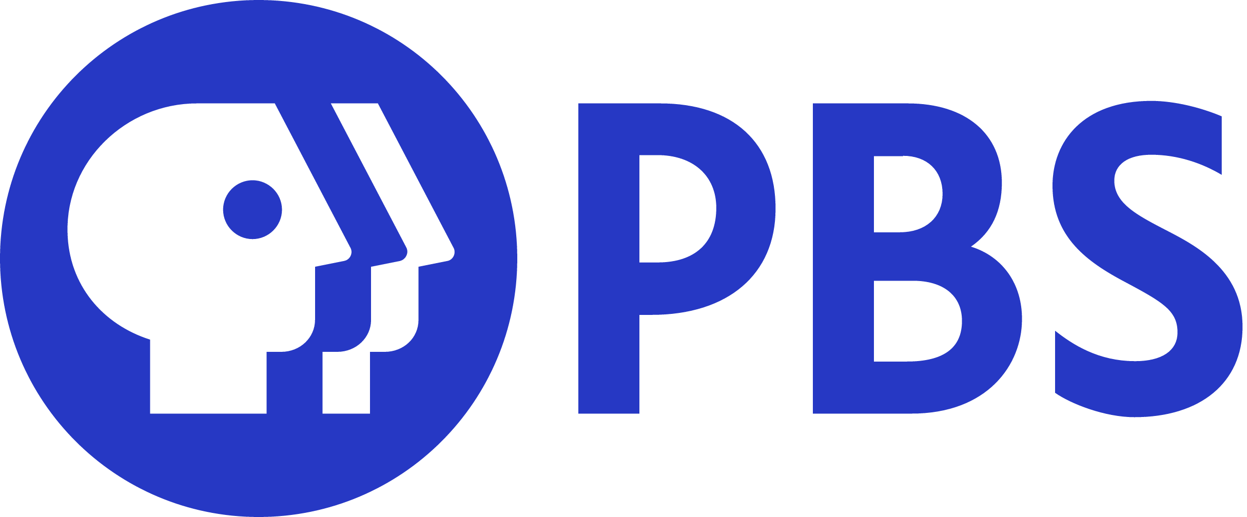 PBS_logo_2019 (1).png
