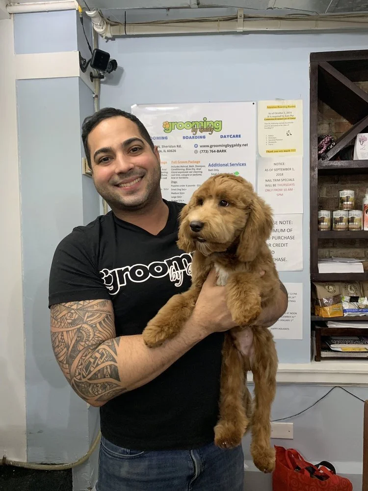 A smiling man with tattoos on his arm is holding a brown, fluffy puppy in an indoor pet grooming facility.