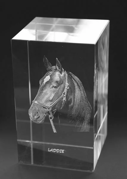 A clear, rectangular glass block with a carved or printed image of a horse's head inside, labeled 'LADDIE' at the bottom.