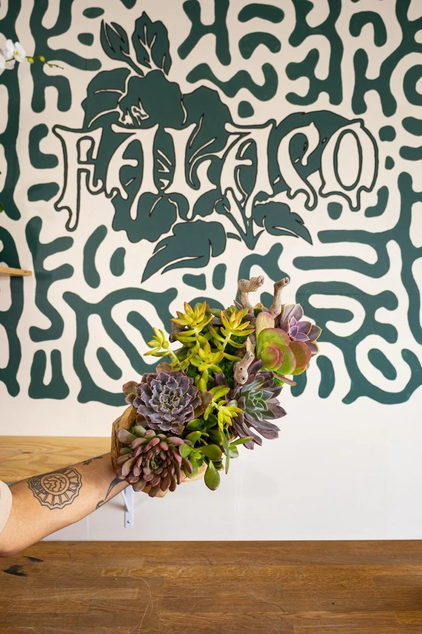 Medium Succulent Planter Large.jpeg