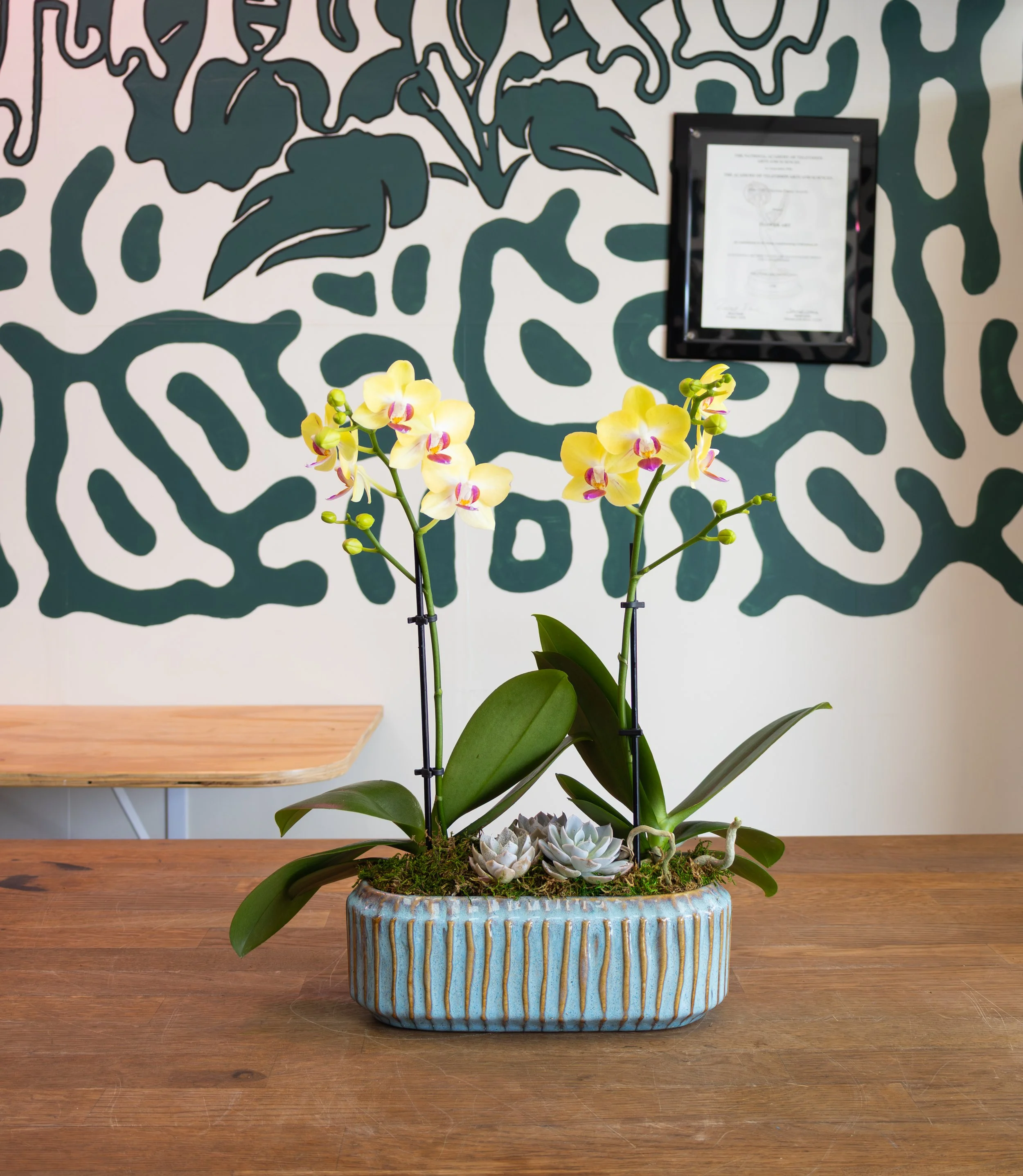 Small Orchid Planter 3.jpg