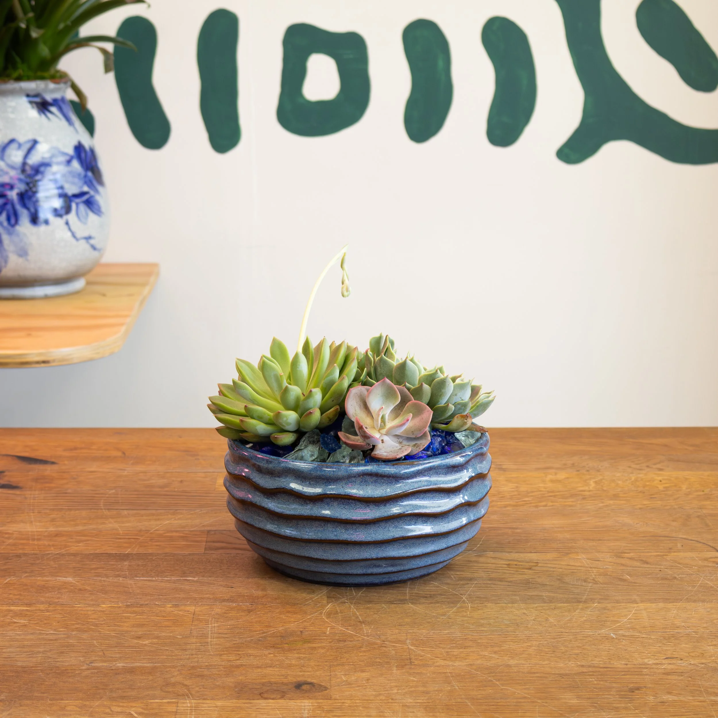 Small Round Succulent Planter 'Blue'