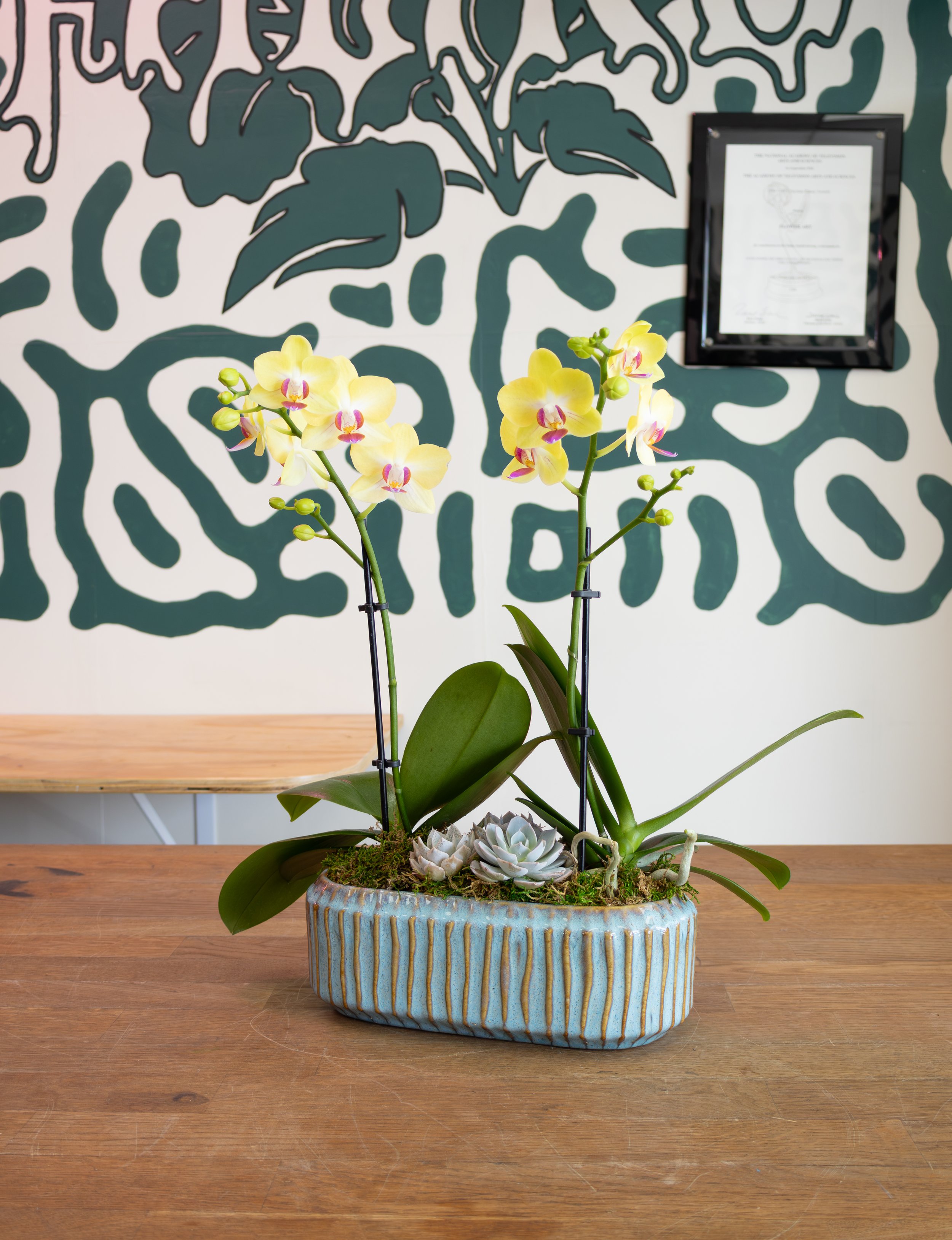 Small Orchid Planter 1.jpg