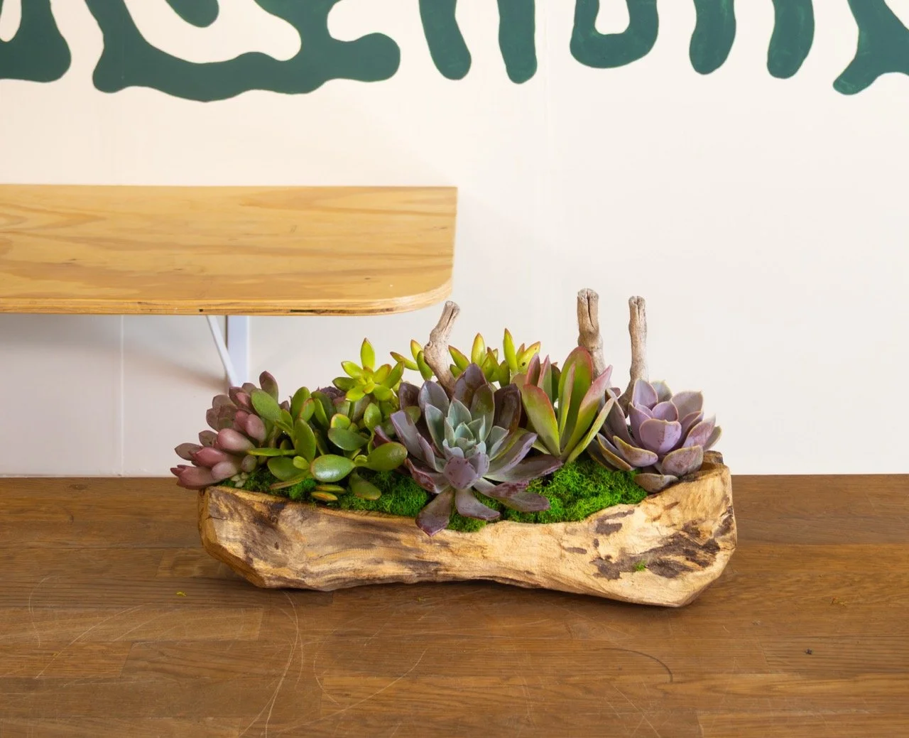 Medium Succulent Planter-2 Large.jpeg