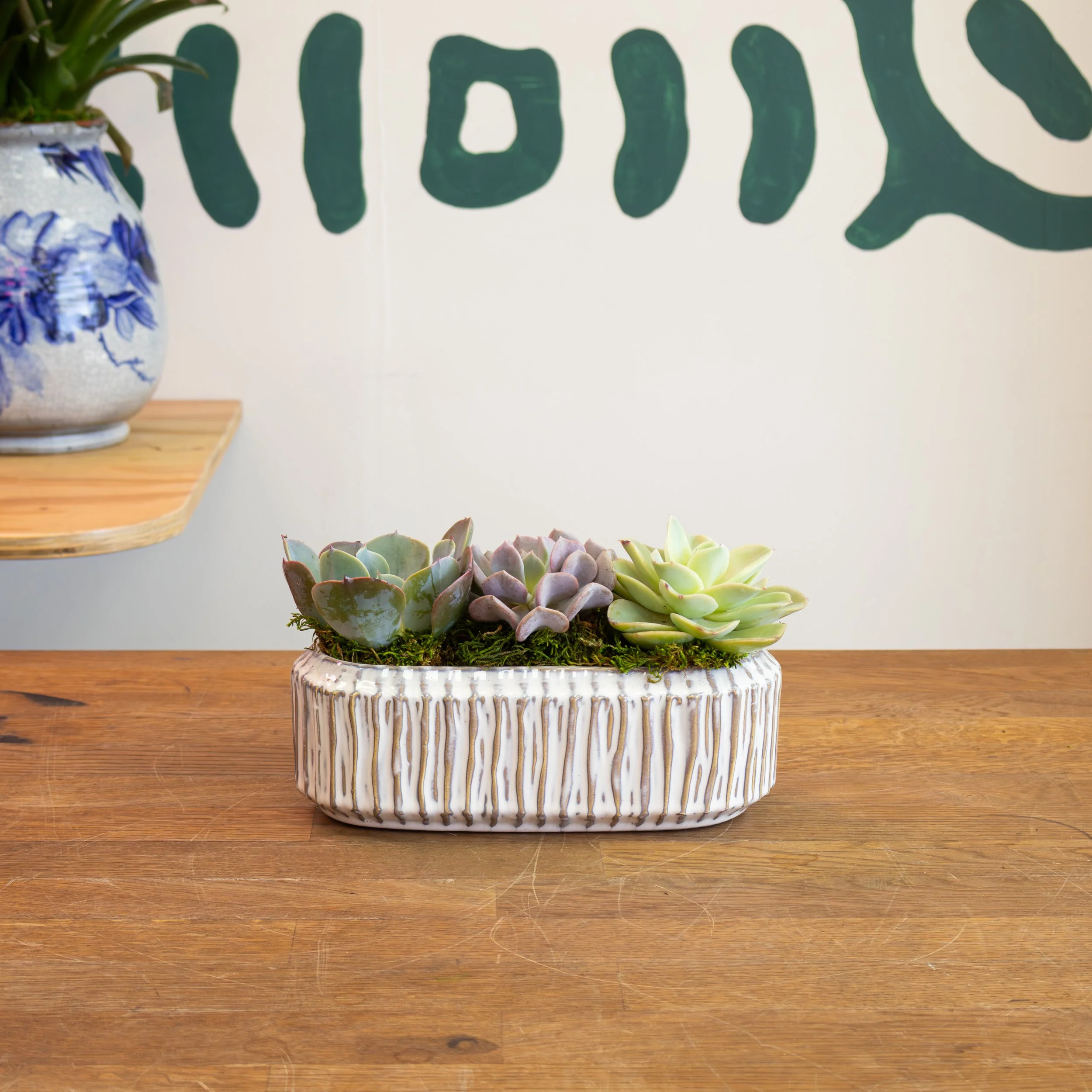 Small Low Succulent Planter 1.jpg