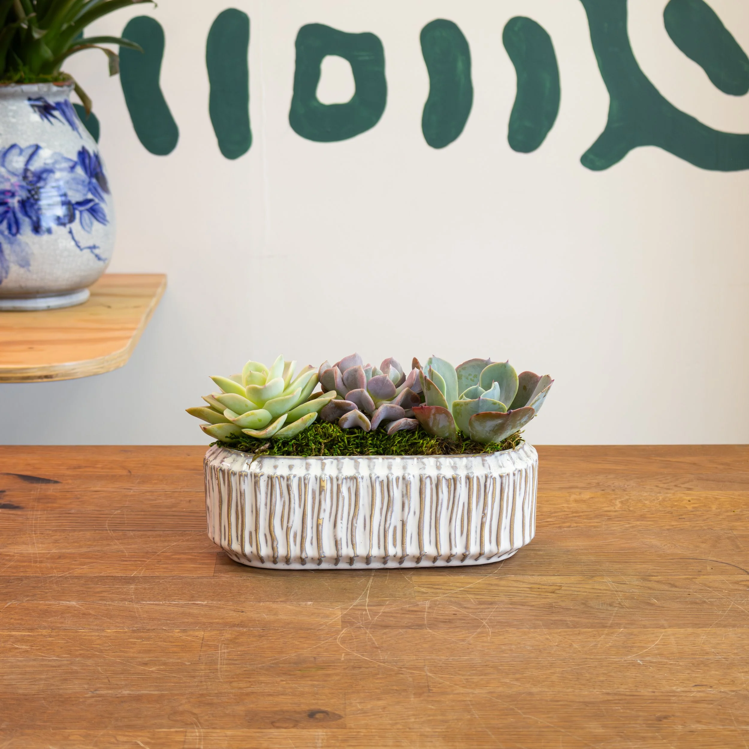 Small Low Succulent Planter 3.jpg