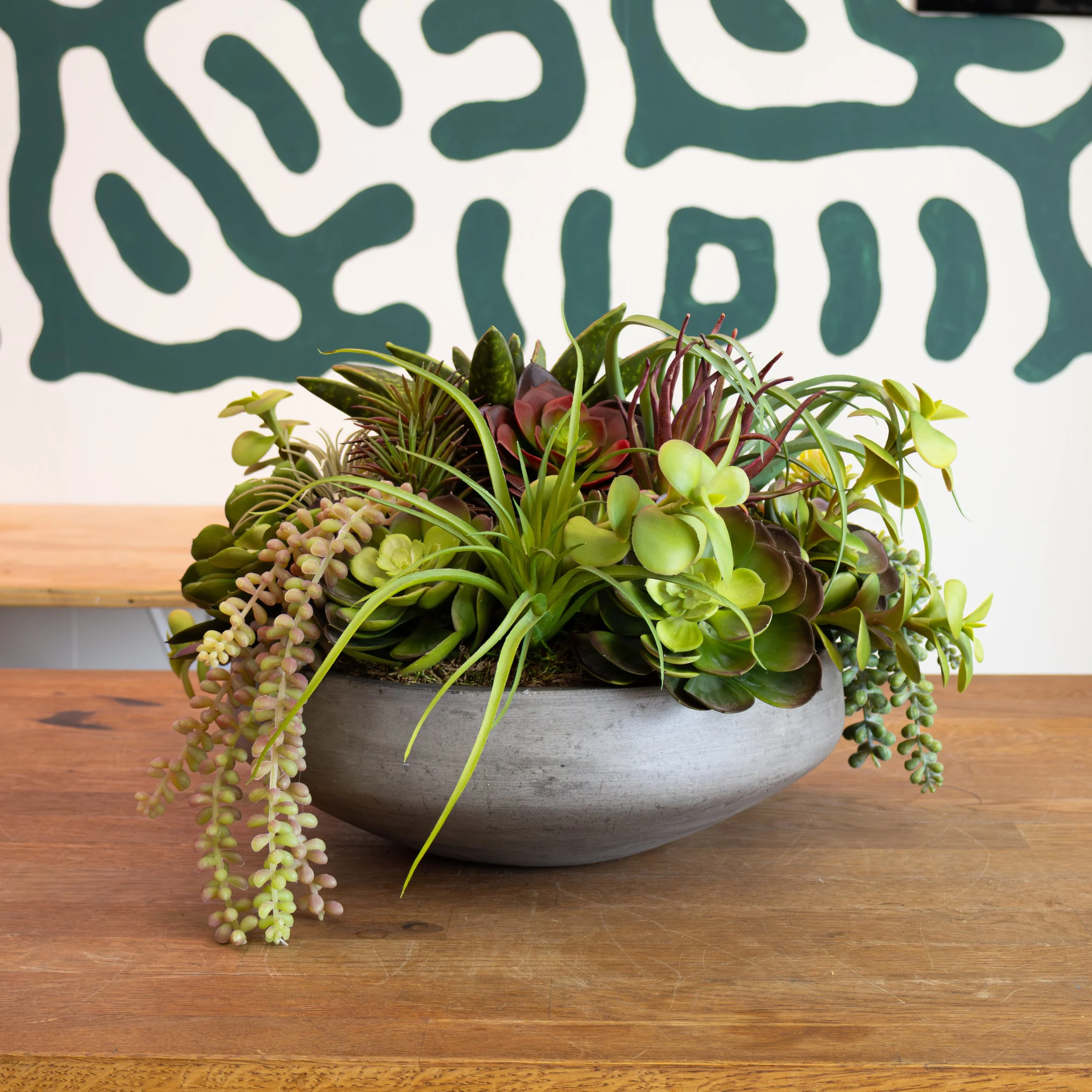 LG Succulent Planter 3.jpg