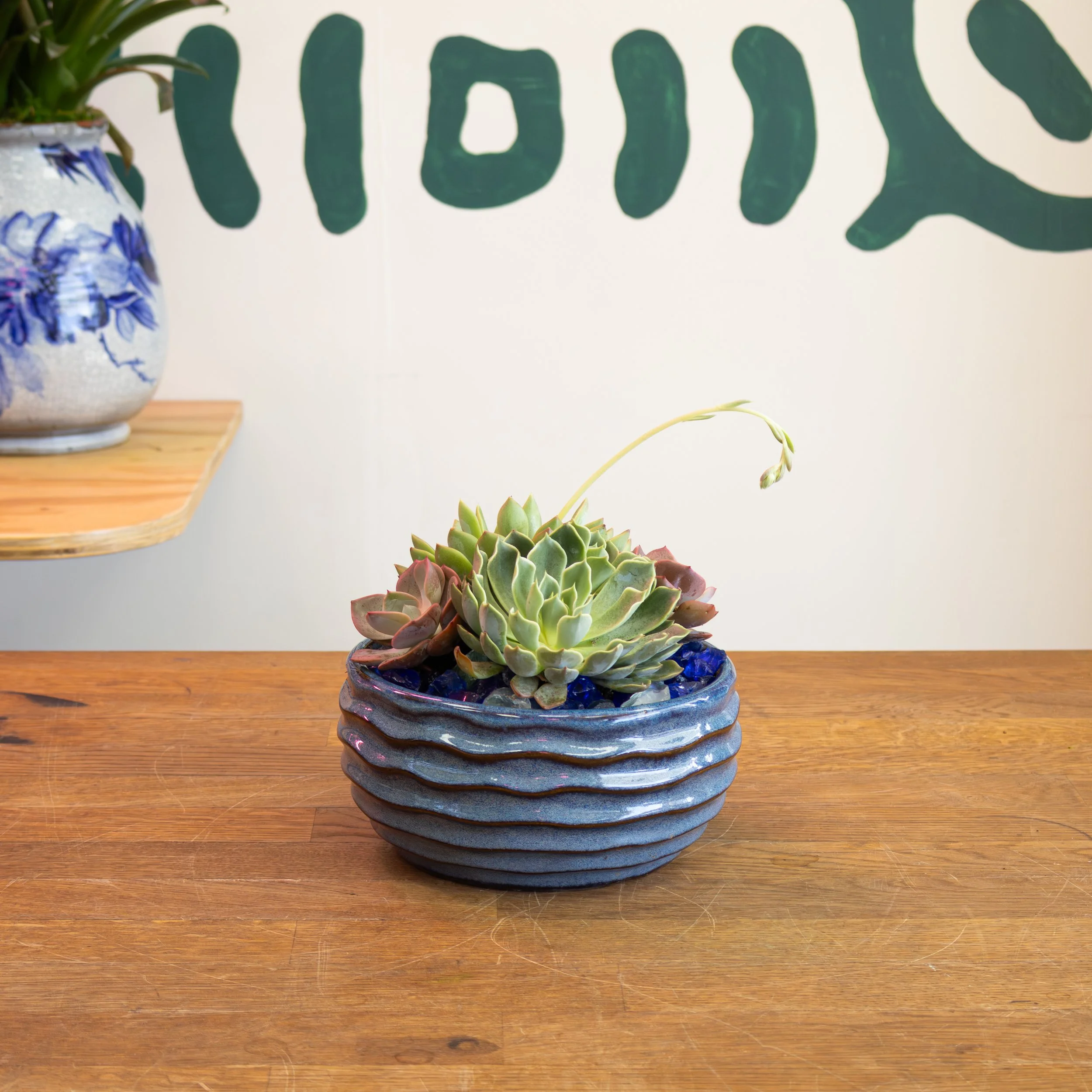 Small Round Succulent Planter Blue 2.jpg