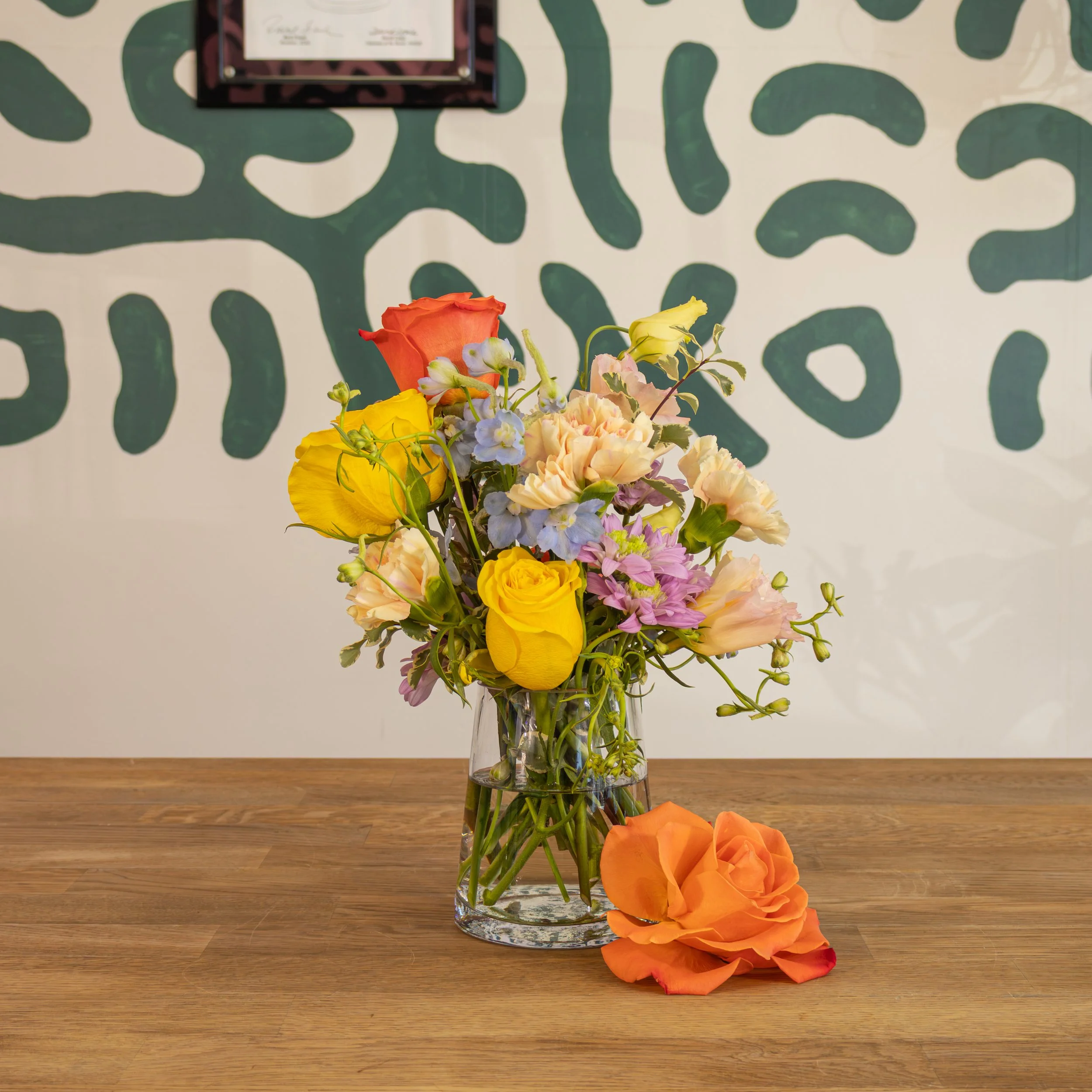 Season XS Arrangement 1.jpg