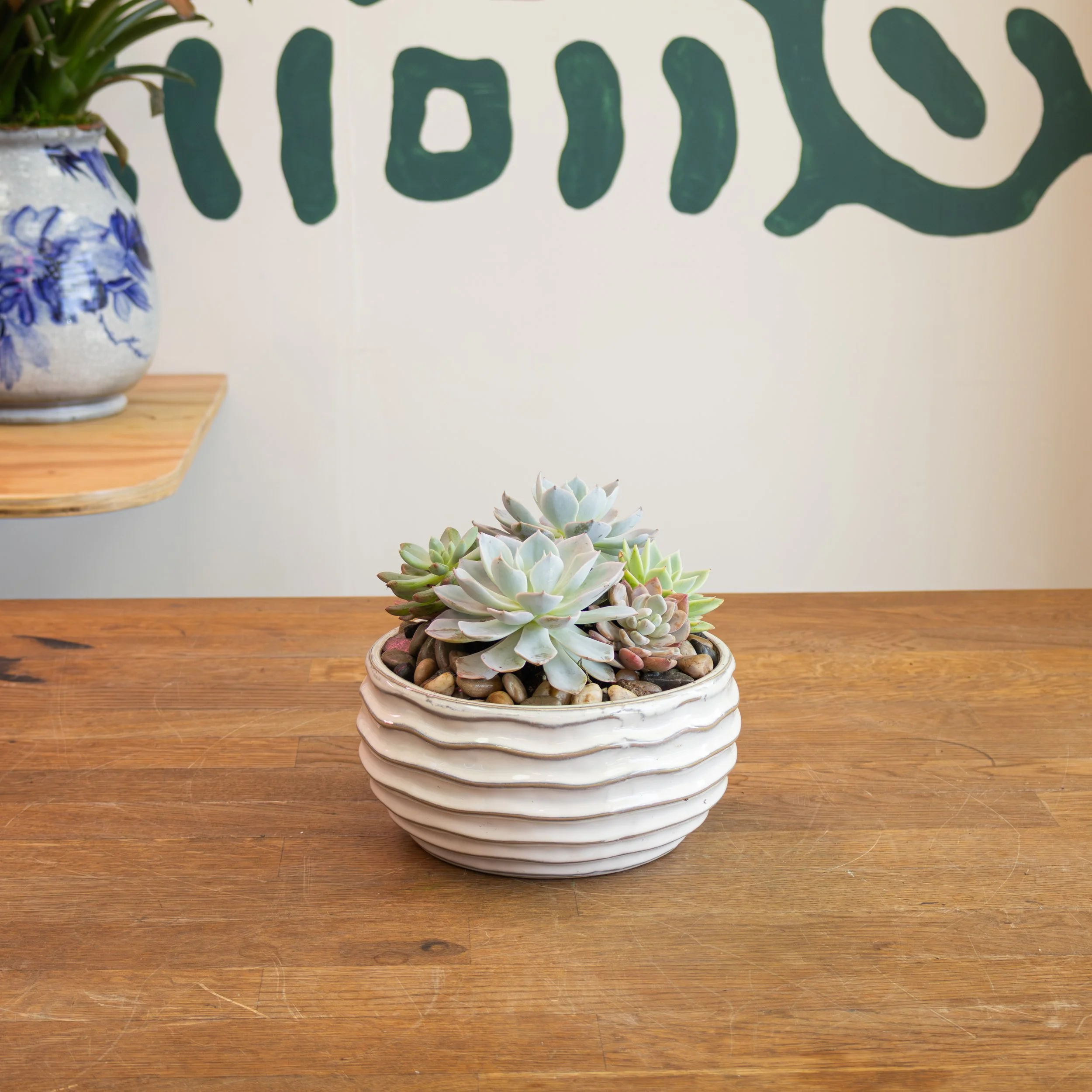 Small Round Succulent Planter White 2.jpg