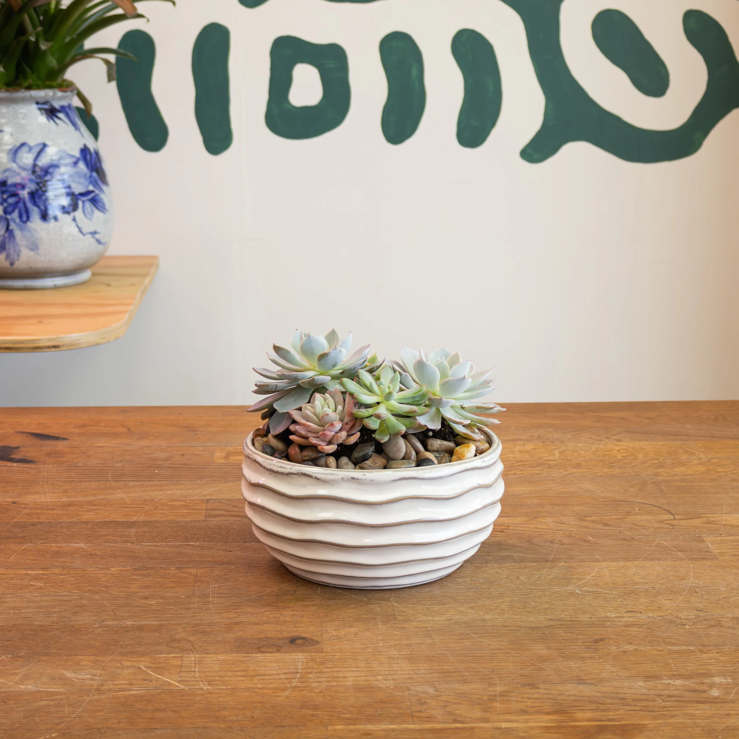 Small Round Succulent Planter 'White'