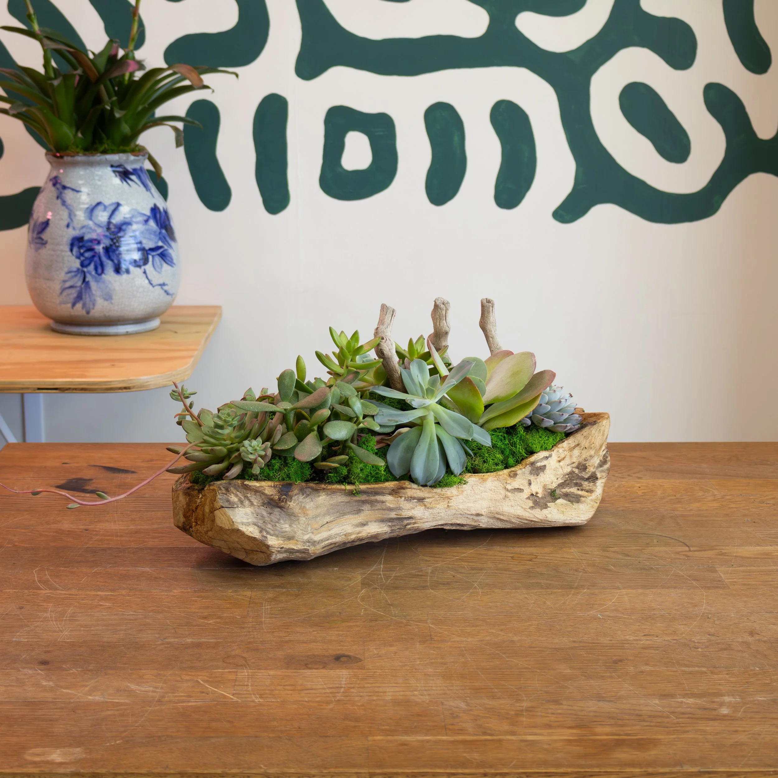 Driftwood Succulent Planter