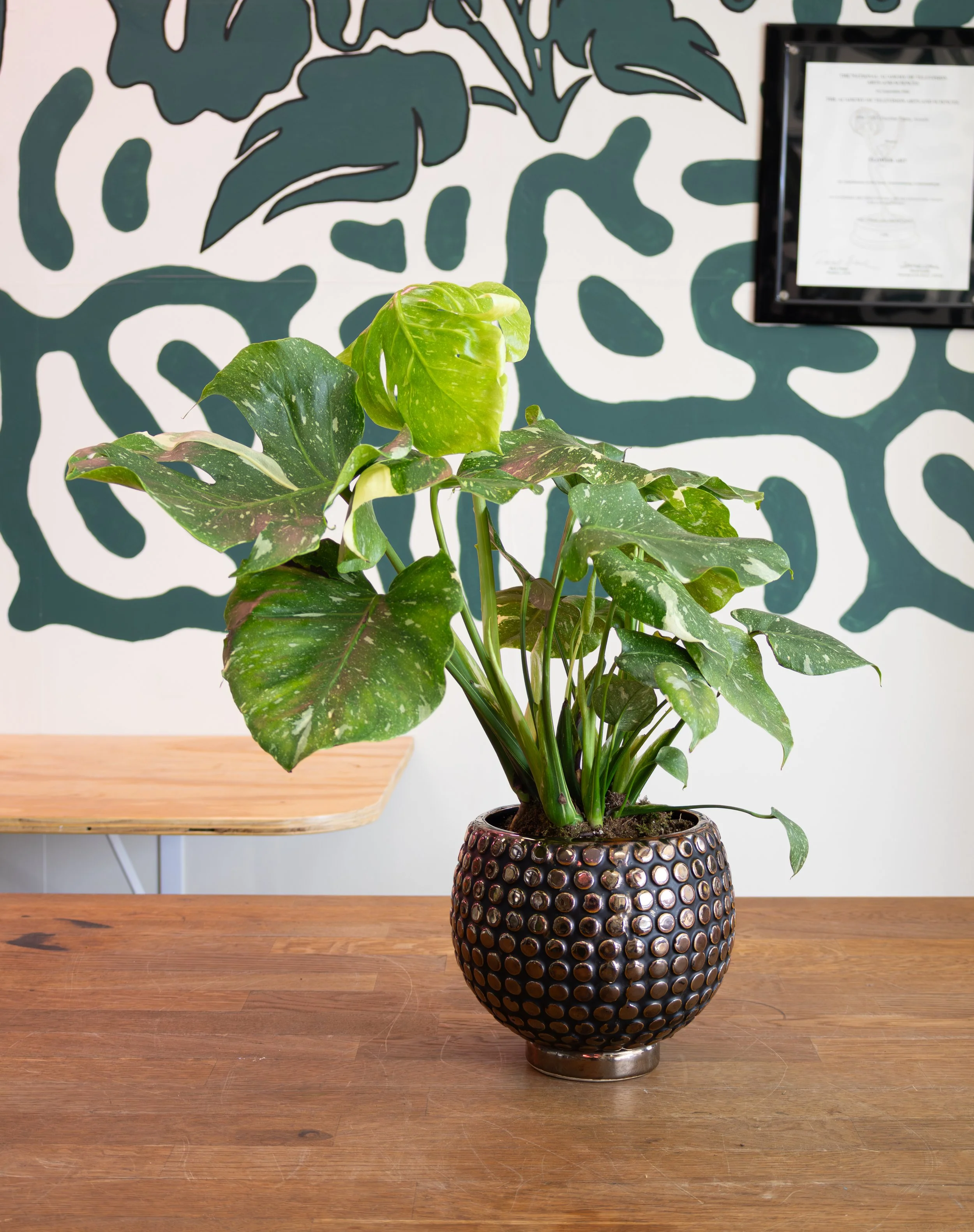 Small Thai Const 2.jpg