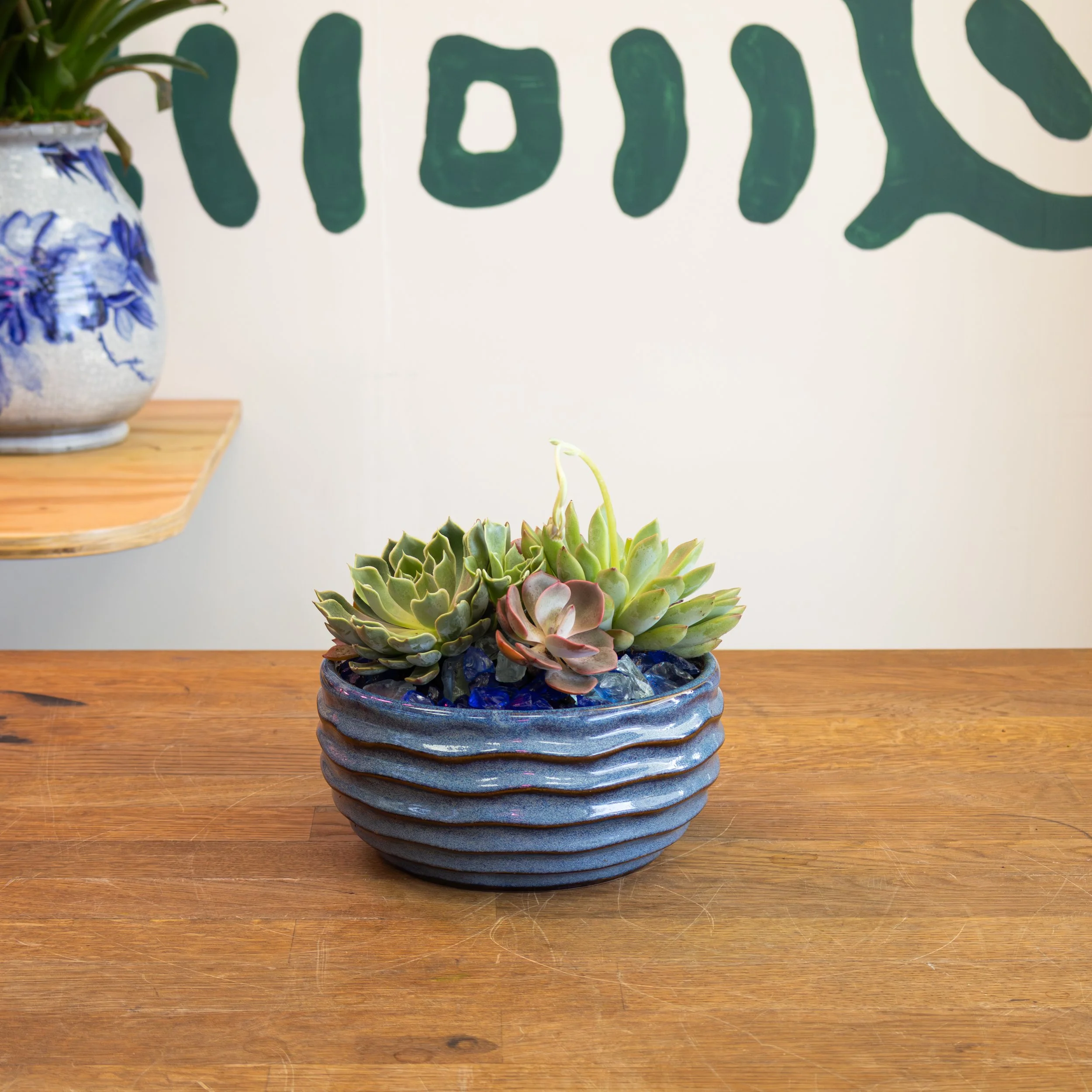 Small Round Succulent Planter Blue 1.jpg