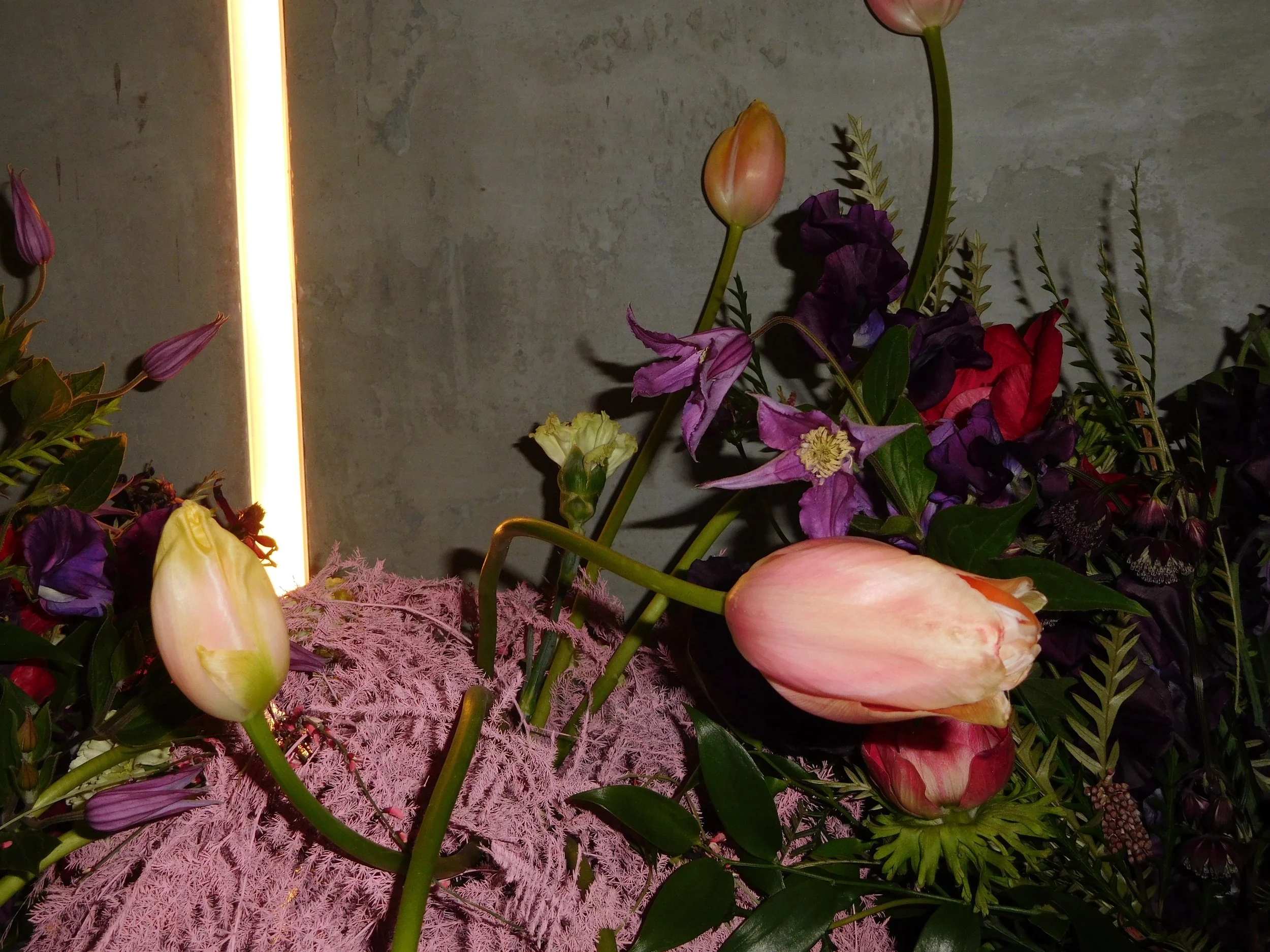 DSCN6826.JPG