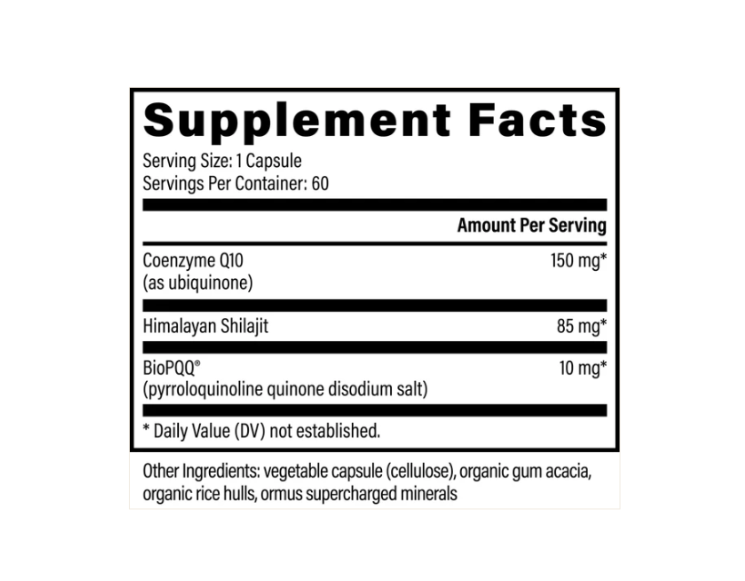 Screenshot 2026-03-10 024744.png