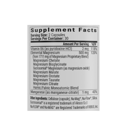 Screenshot 2026-03-13 032807.png