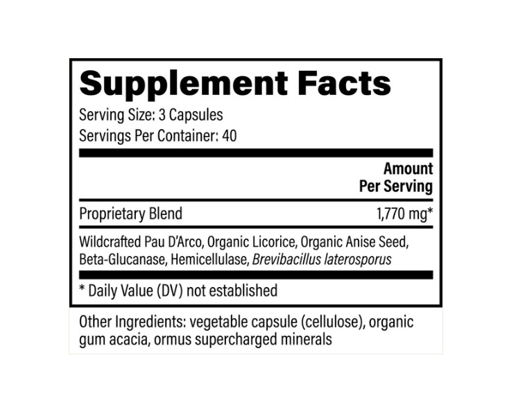 Screenshot 2026-03-17 082426.png