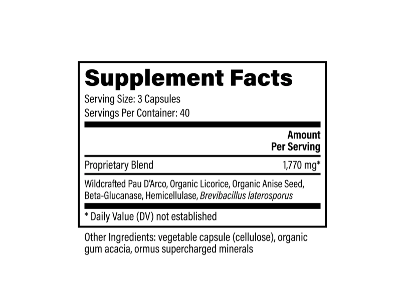 Screenshot 2026-03-10 004643.png