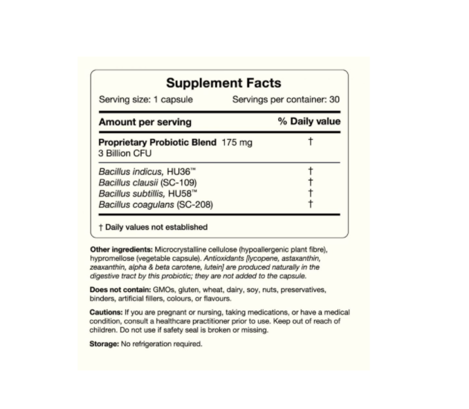 Screenshot 2026-03-10 002914.png