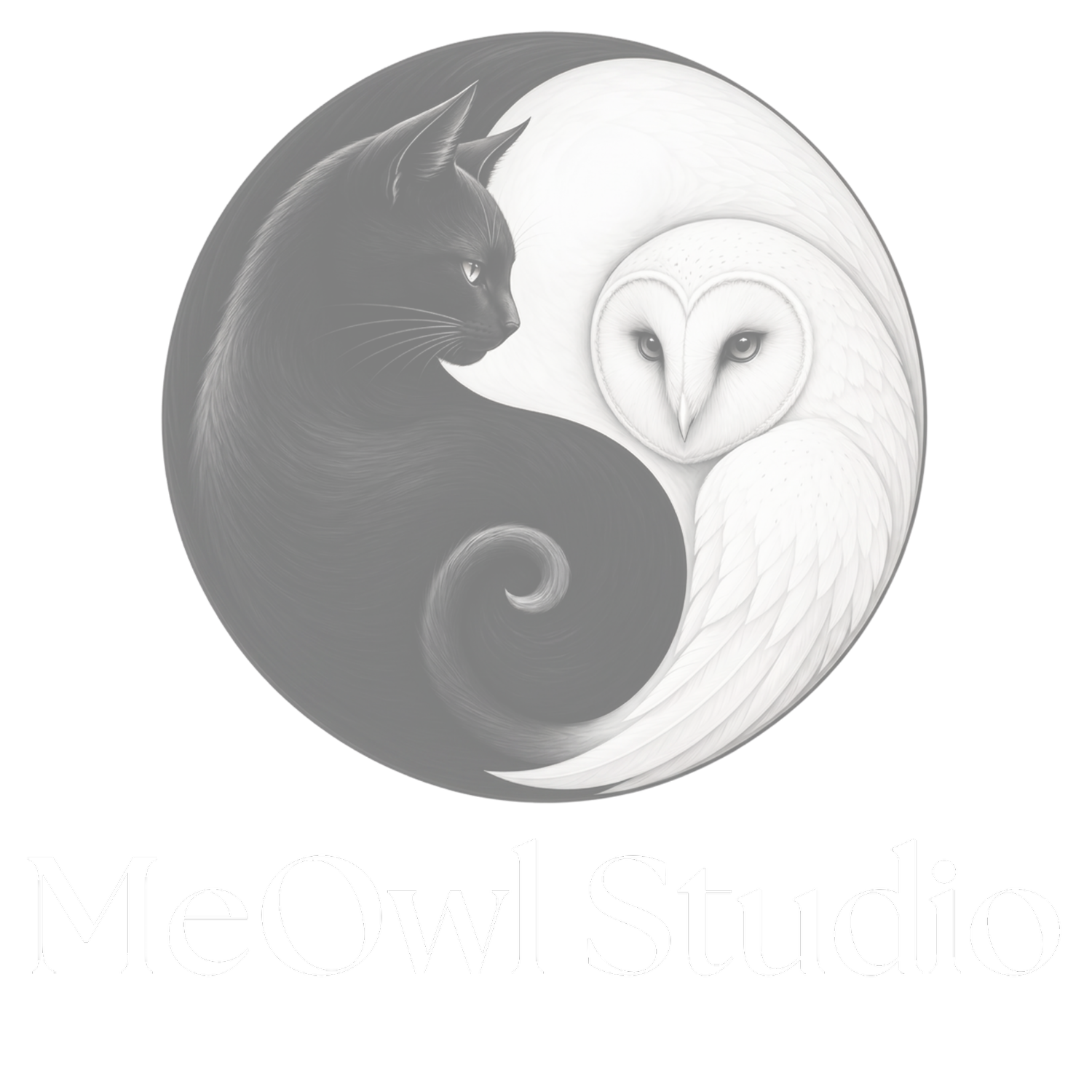 MeOwl Studio