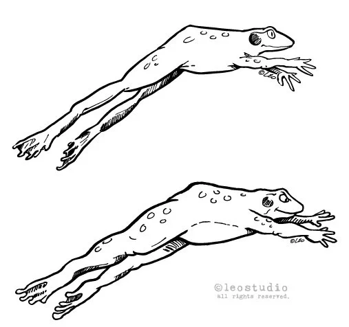 Frog art for t-shirts