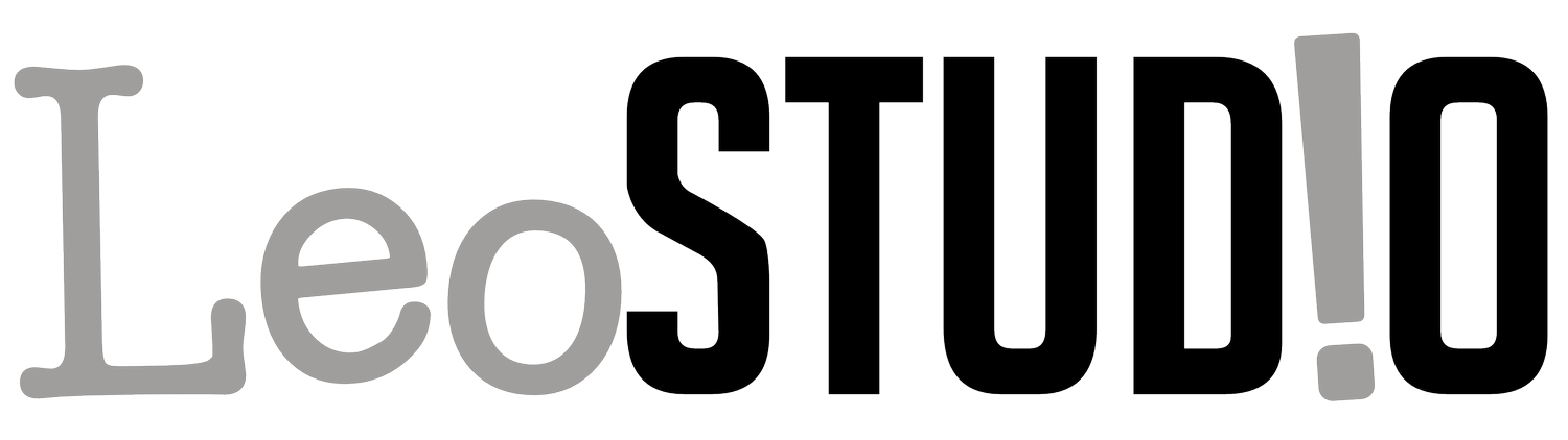 LeoStudio
