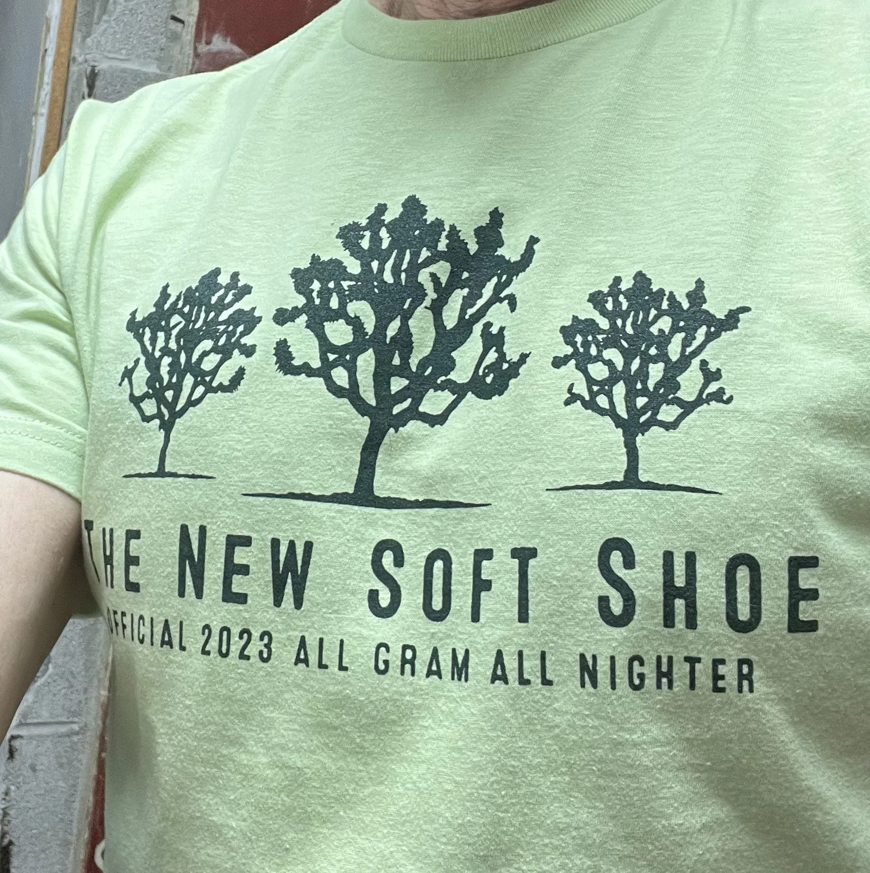 The New Soft Shoe band merchandise