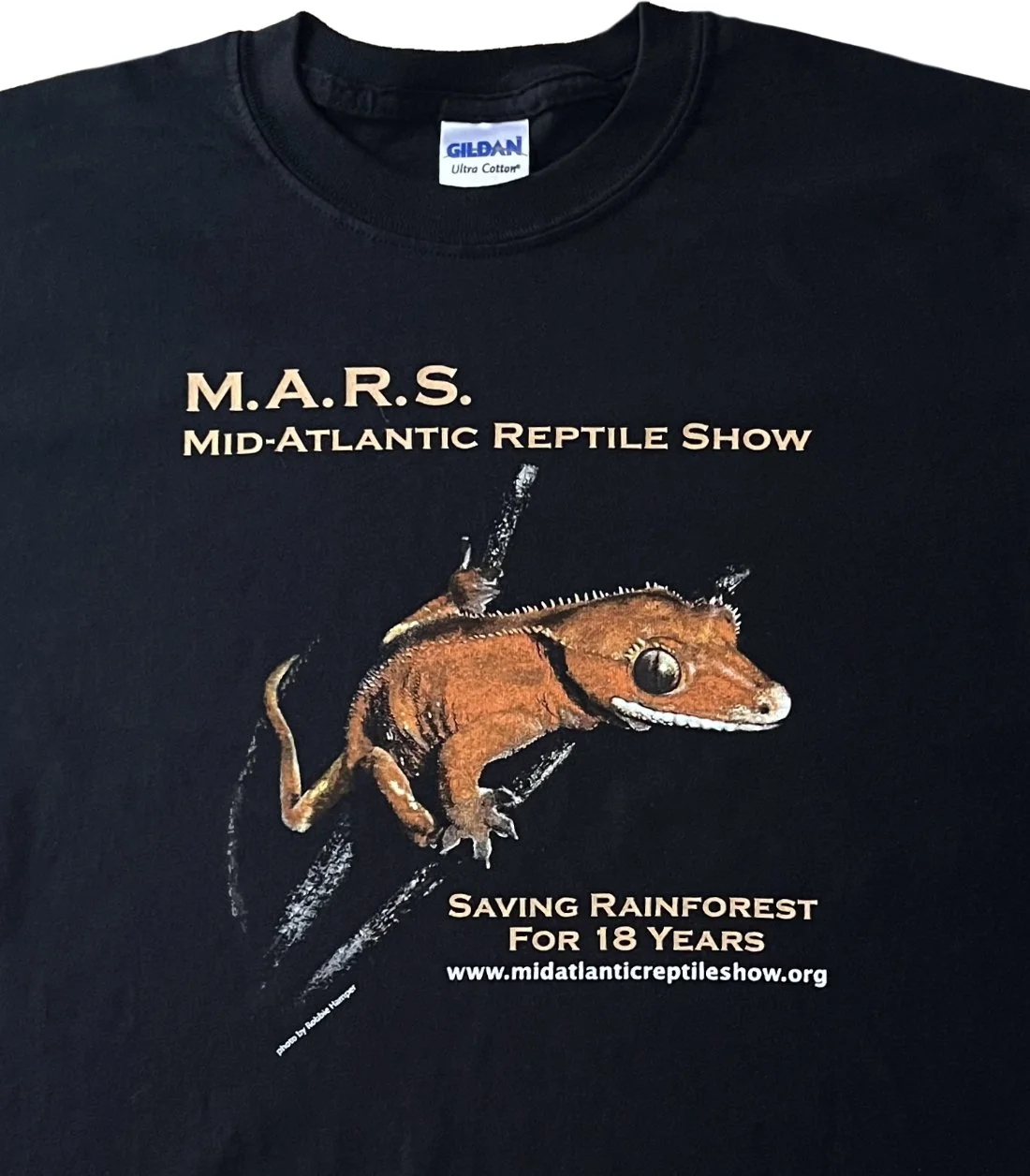 T-shirt photo print using spot-process color printing