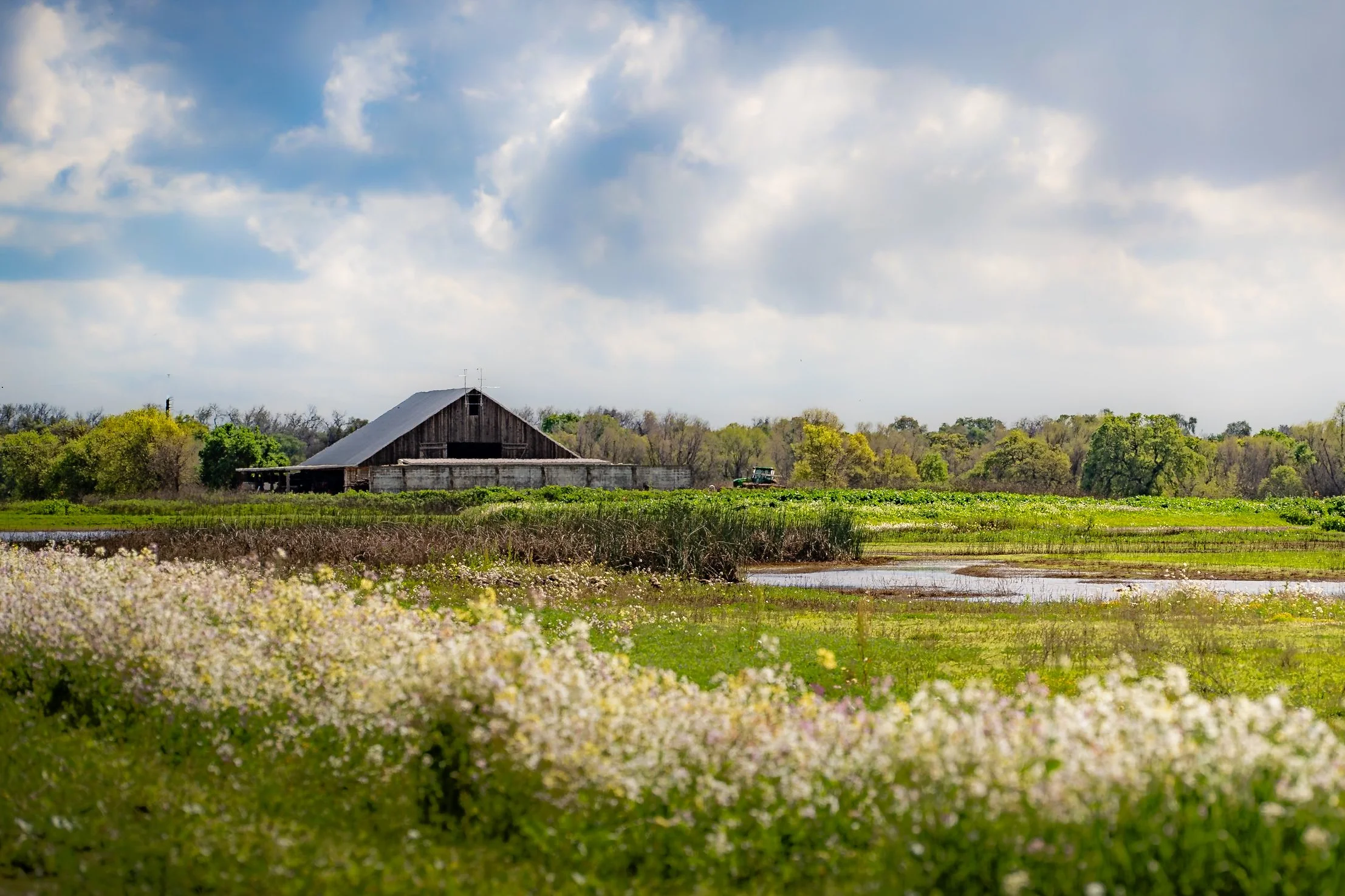 Elk Grove Barn, California 