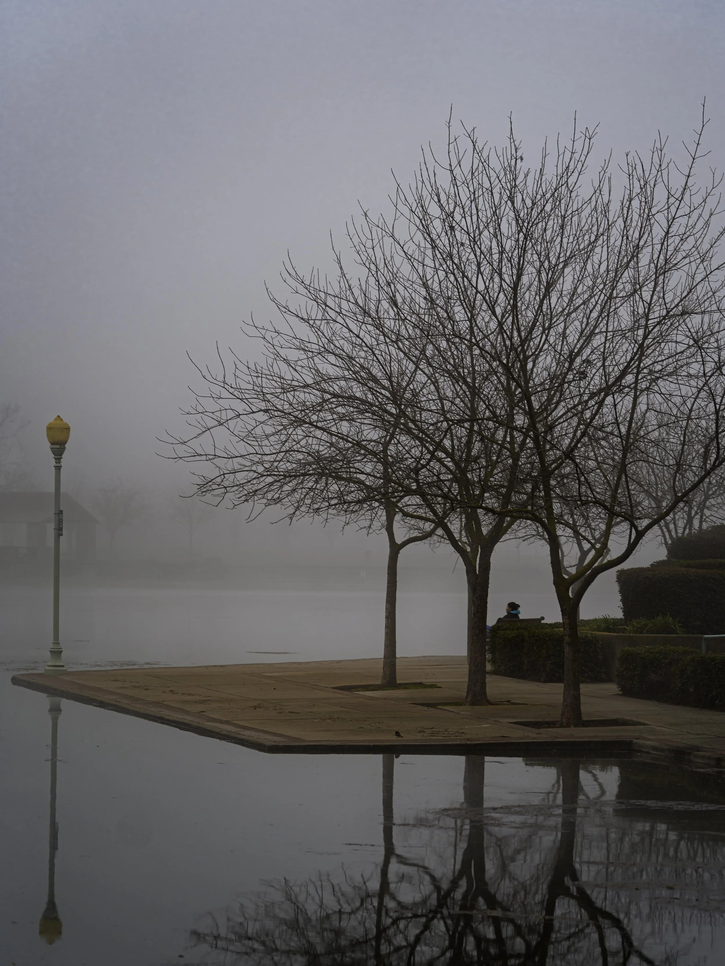 Lake in Elk Grove, CA