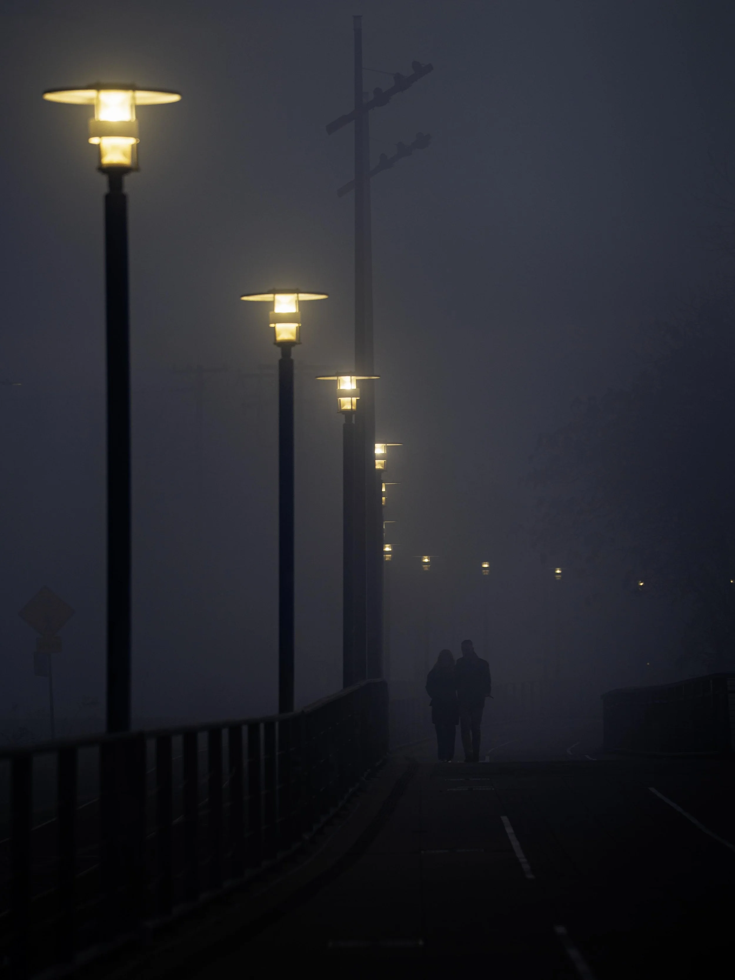 Sacramento, Ca Couple in Fog 