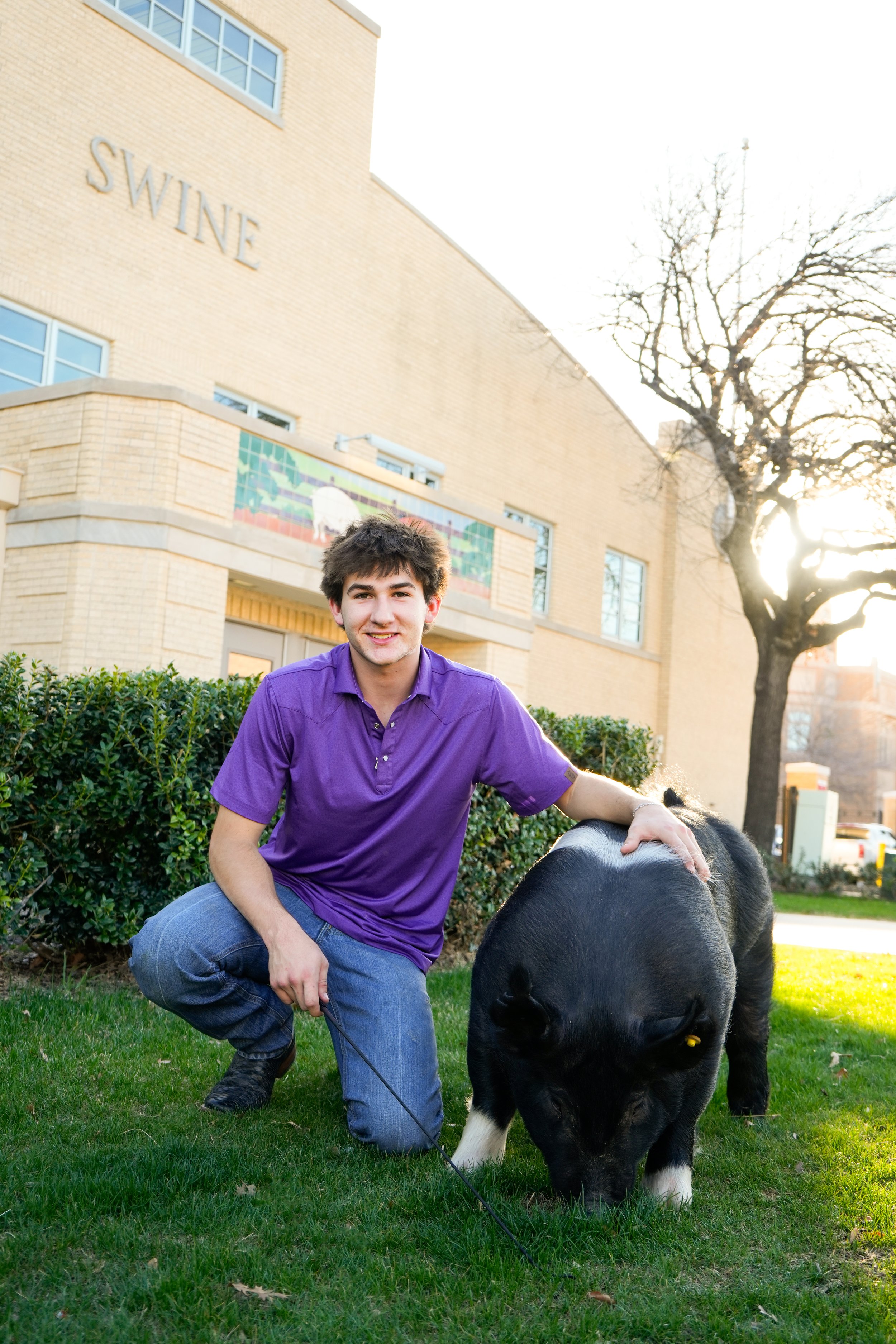 fort worth livestock photographer, fort worth senior photos, graduation photographer in fort worth, fort worth senior photographer, fort worth stock show, tarrant county junior livestock show, livestock photographer in fort worth