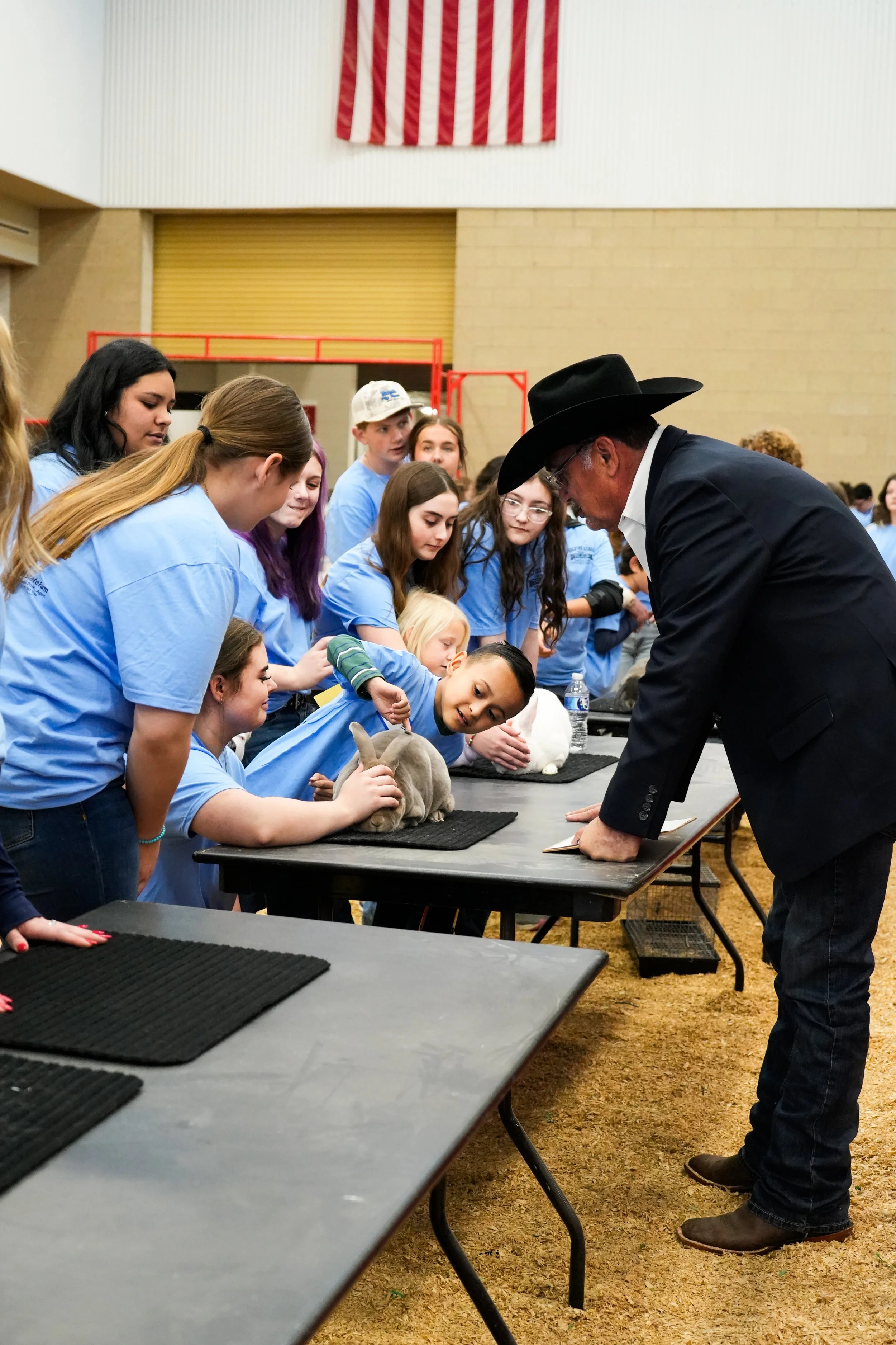 fort worth livestock photographer, fort worth event photographer, fort worth stock show, tarrant county junior livestock show, livestock photographer in fort worth