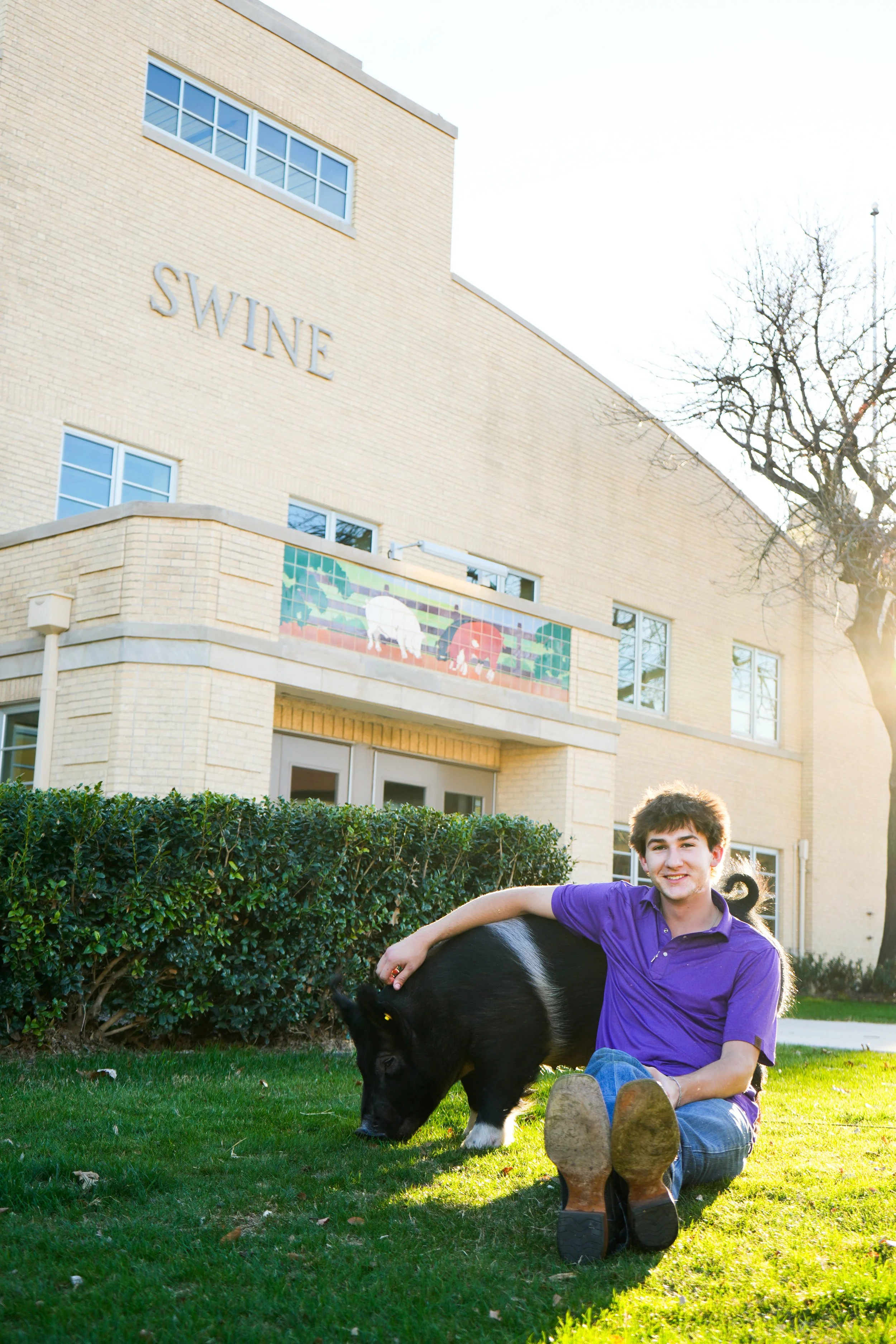 fort worth livestock photographer, fort worth senior photos, graduation photographer in fort worth, fort worth senior photographer, fort worth stock show, tarrant county junior livestock show, livestock photographer in fort worth