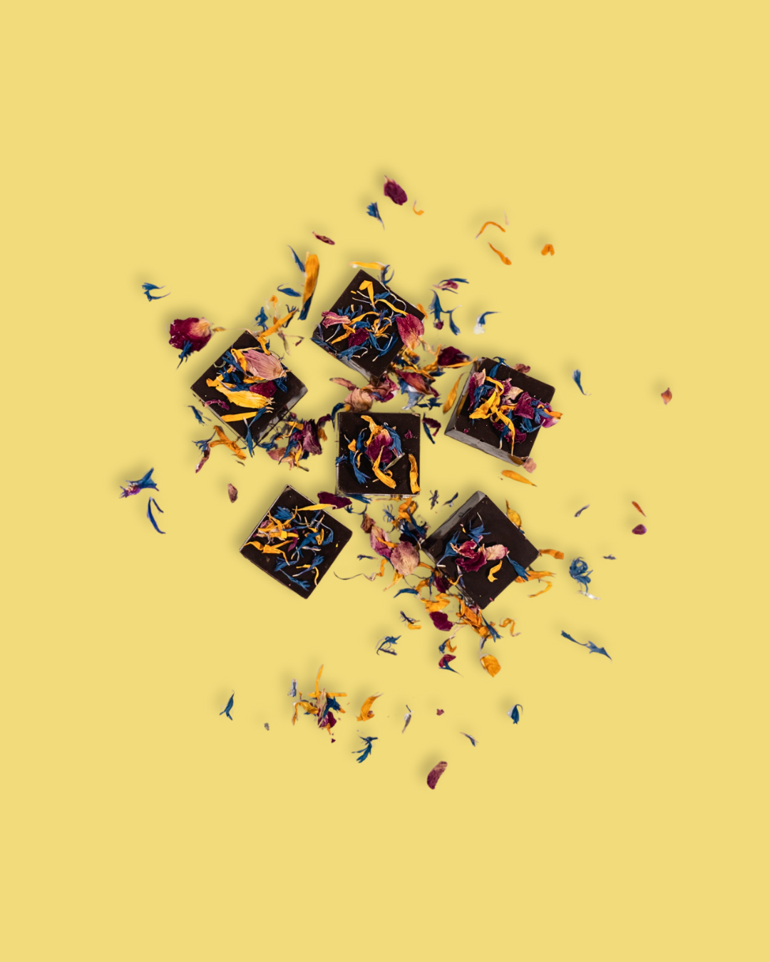 Chocolate squares topped with colorful flower petals scattered on a yellow background.