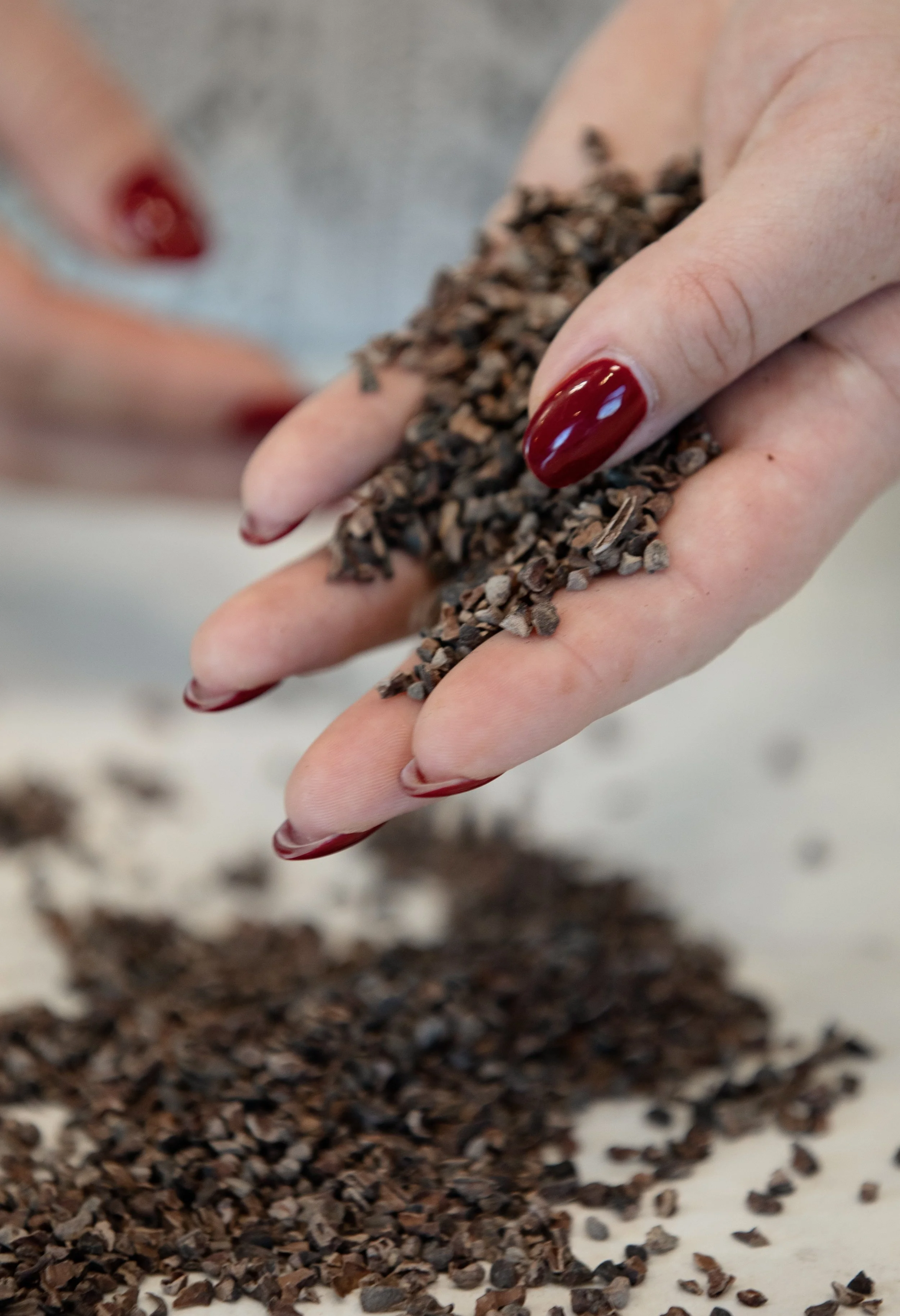 Handmade Chocolate in Texas Cleotilde slide12.jpg