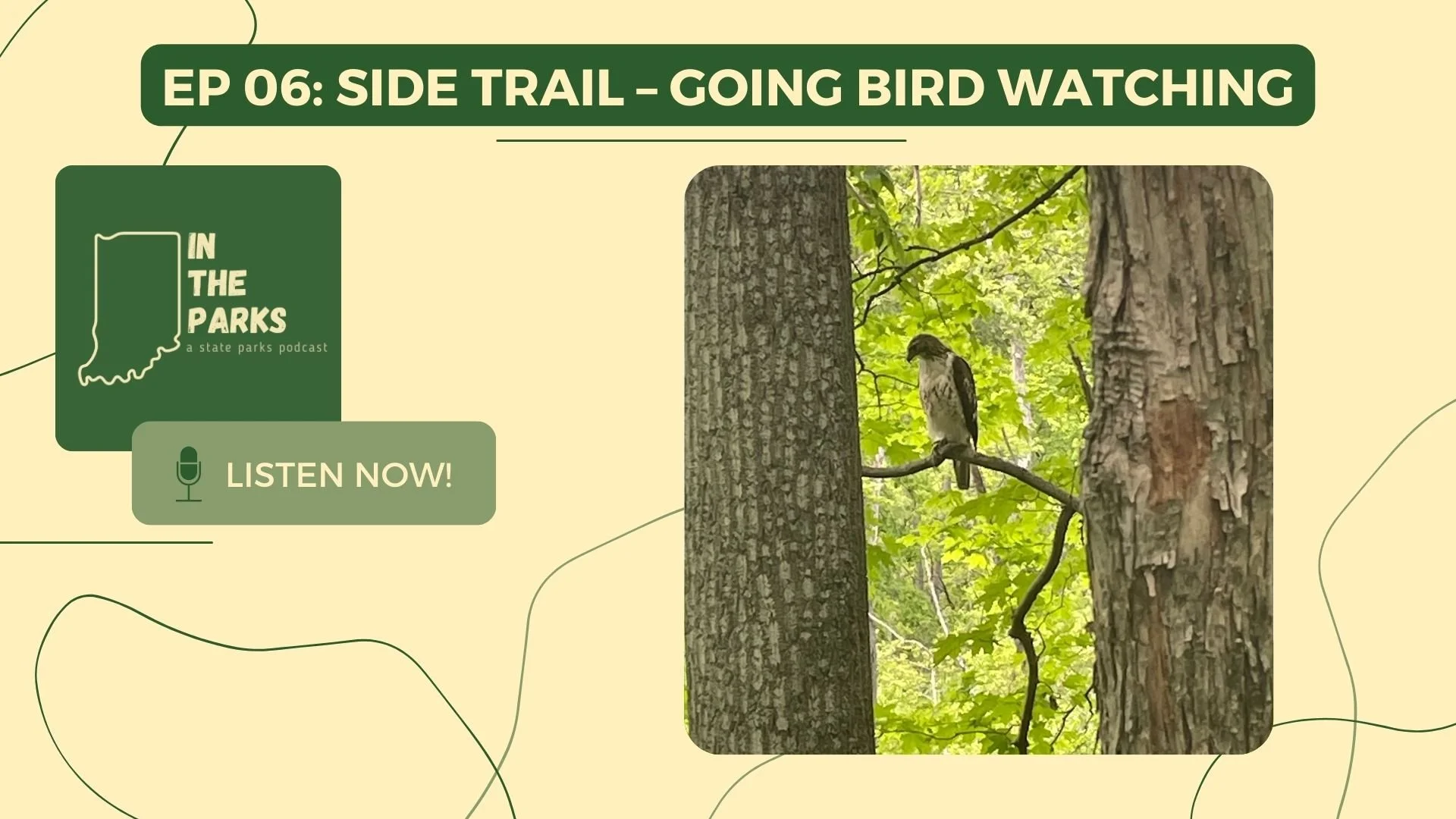 Side Trail: Going Birdwatching In the Indiana State Parks