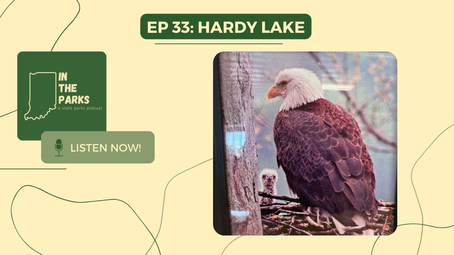 Hardy Lake: Where the Raptor Center Soars