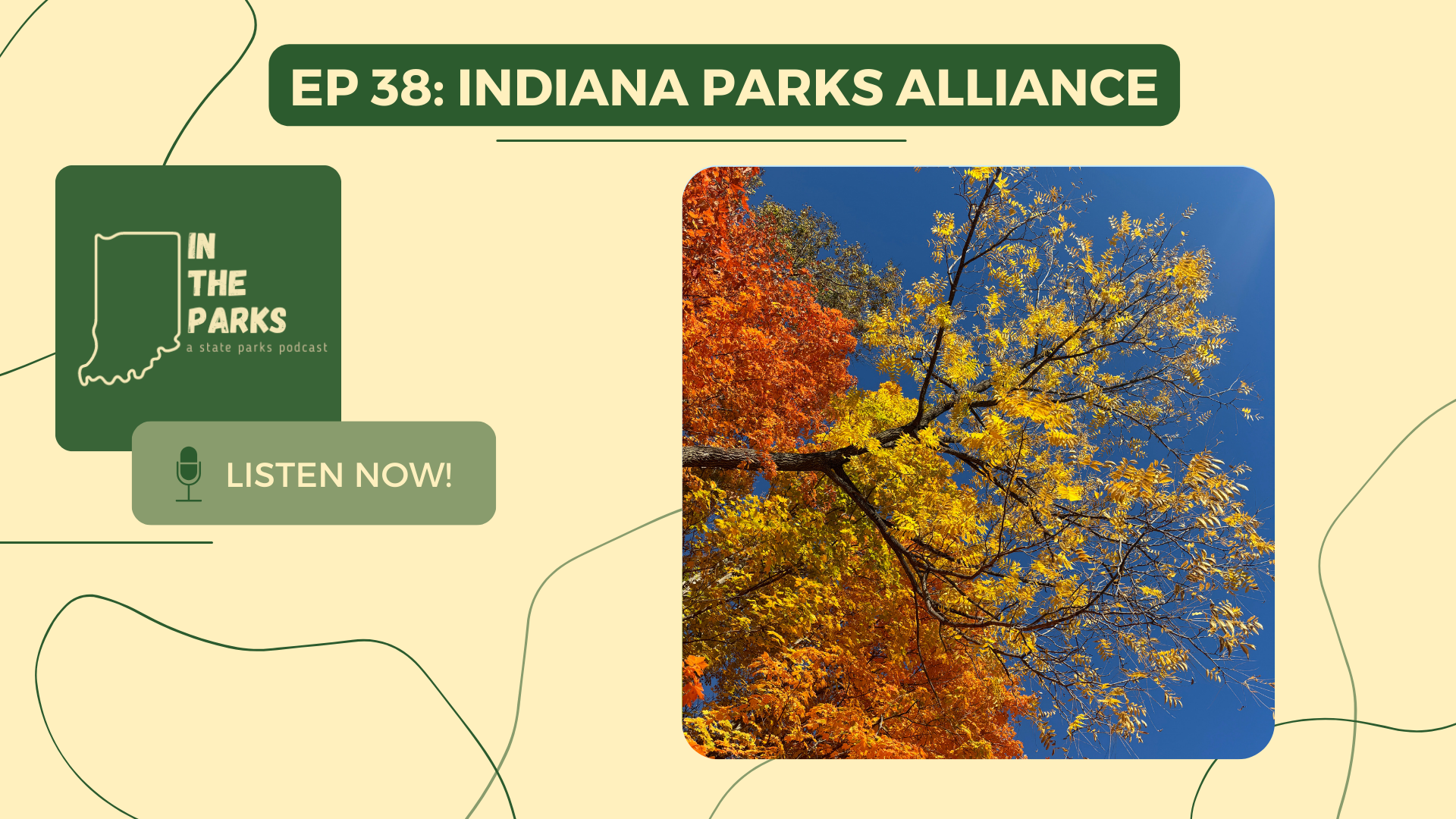Indiana Parks Alliance: Giving Back to the Parks