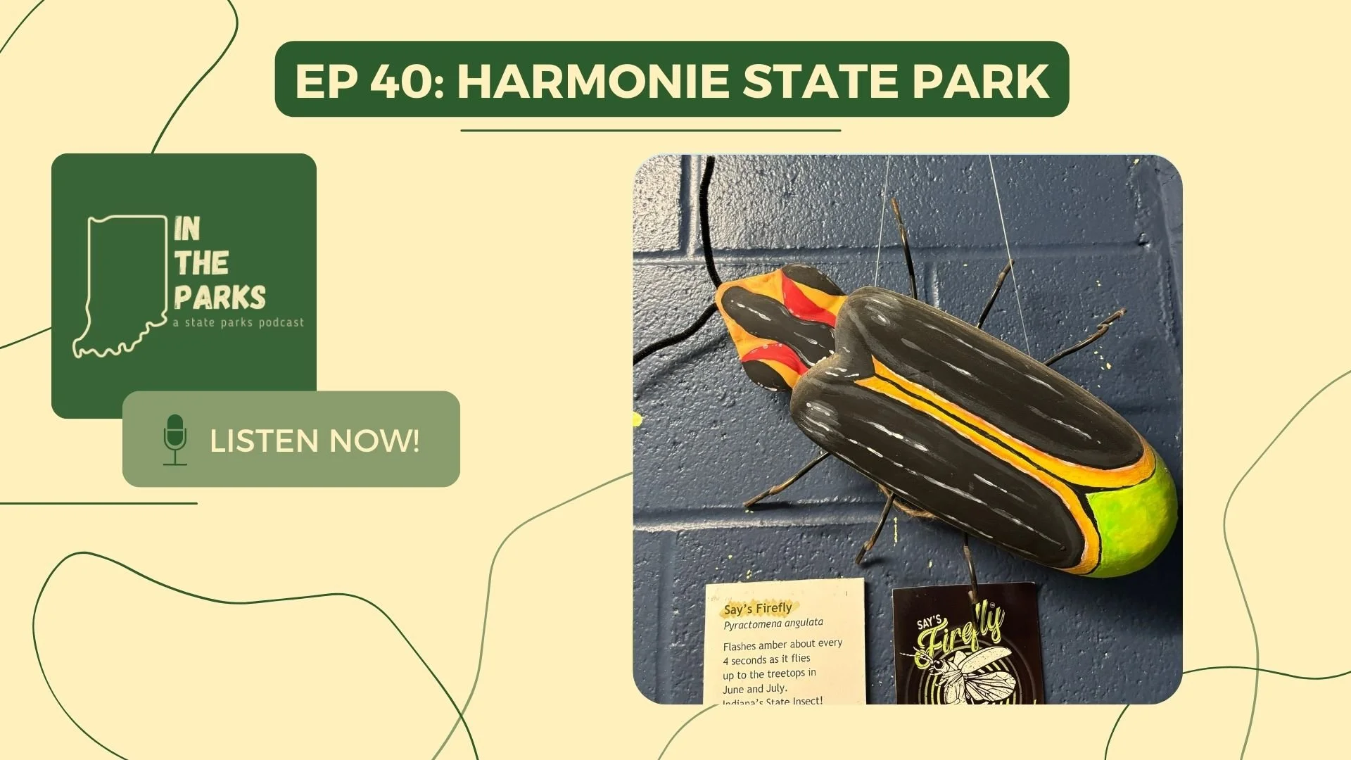 Harmonie State Park: The Magic of Fireflies