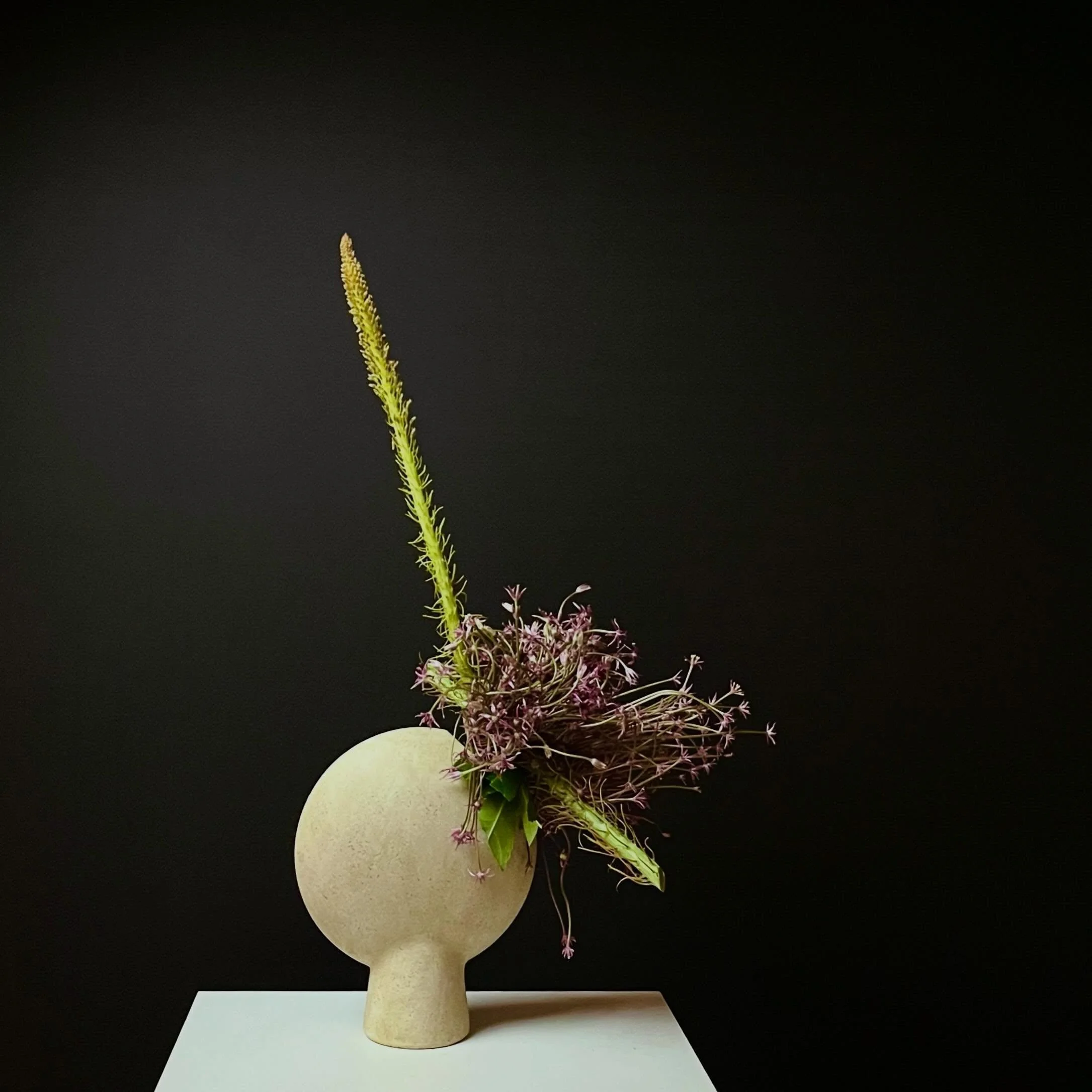 .
Explored the interdependent relationship between the &lsquo;Figure&rsquo; and the &lsquo;Ground&rsquo;.

Thank you @ikebanachristine 

#ikebana,#sogetsu, #japaneseflowerarrangement, #いけばな, #草月