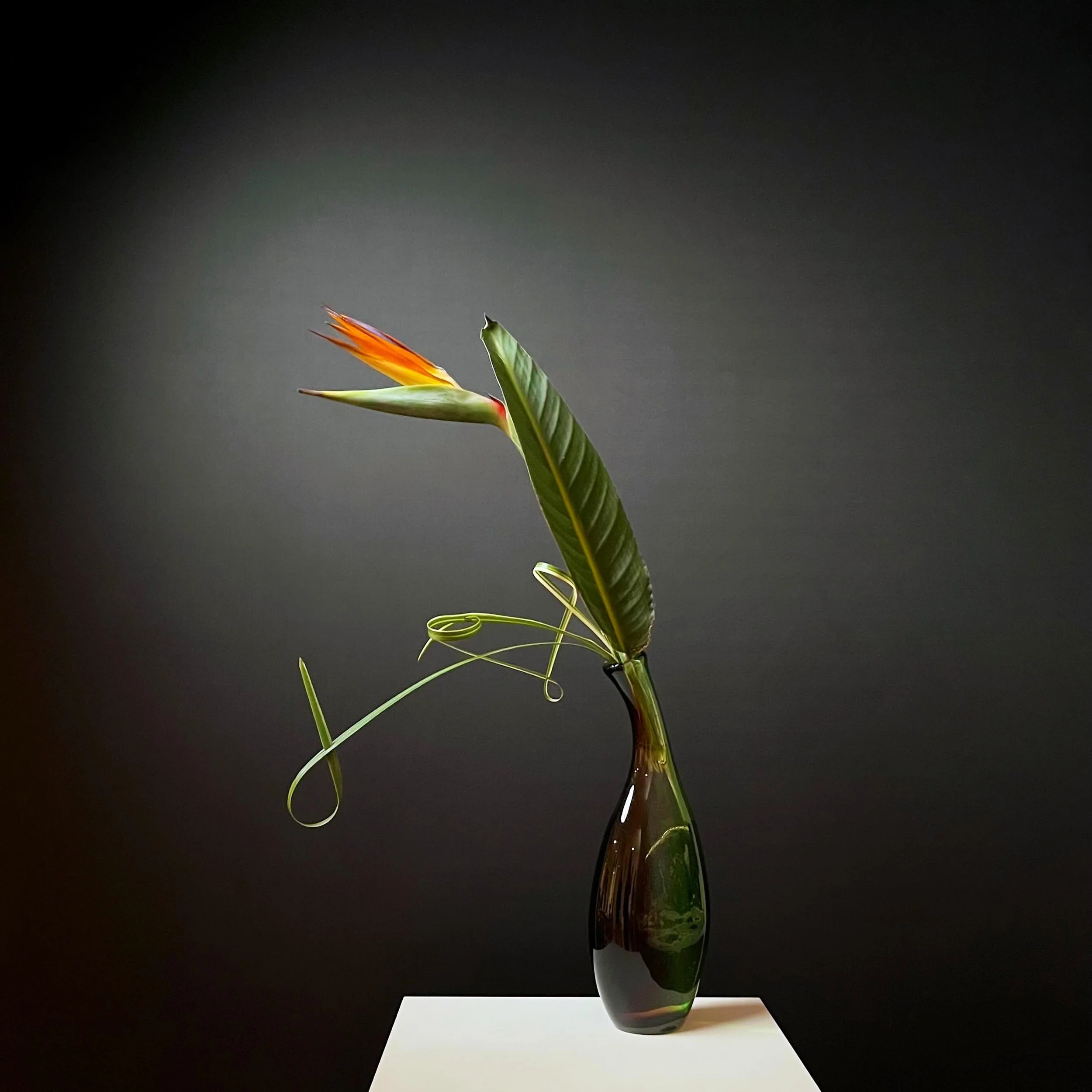 .
Strelitzia

@ikebanachristine 🧡

#ikebana,#sogetsu, #japaneseflowerarrangement, #いけばな, #草月,