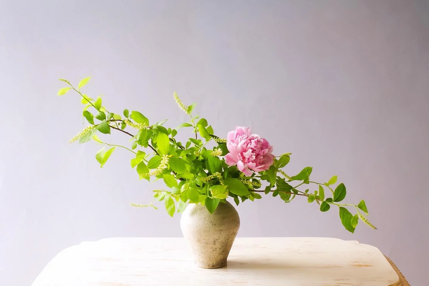 .
Hello May,

I found my favorite ryōbu at a flower market and was so excited to see it here in NYC! 🌿 I wondered what it&rsquo;s called in English, so I checked the receipt&hellip; and it just says &ldquo;JAPAN.&rdquo; 😂
After a little digging, I 