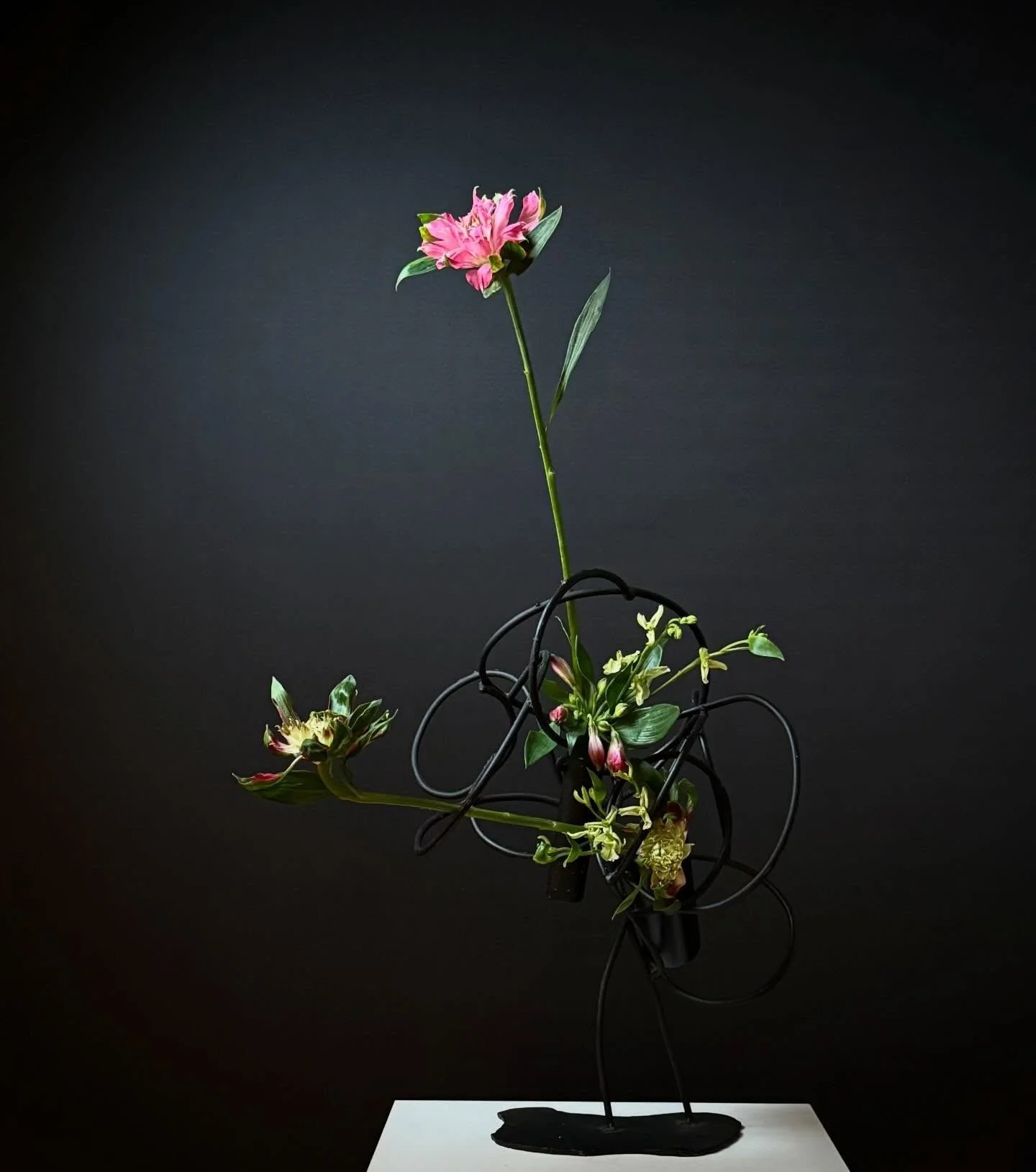 .
With only Alstroemeria.
To work with flowers alone is never simple.

Thank you @ikebanachristine✨

#ikebana,#sogetsu, #japaneseflowerarrangement, #いけばな, #草月