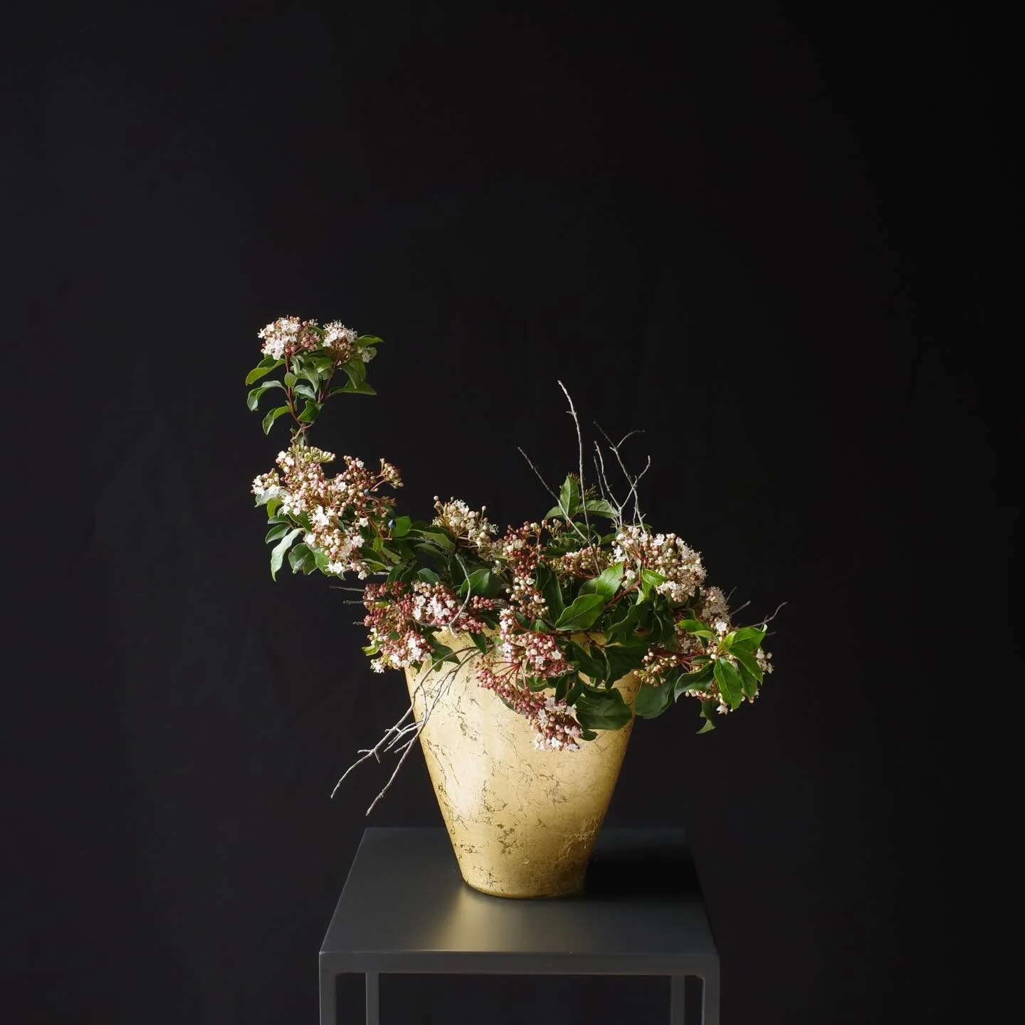 .
Spring is sure to come.
春は確実にやってくる。

#sogetsu, #ikebana, #japaneseflowerarrangement, #草月流, #いけばな