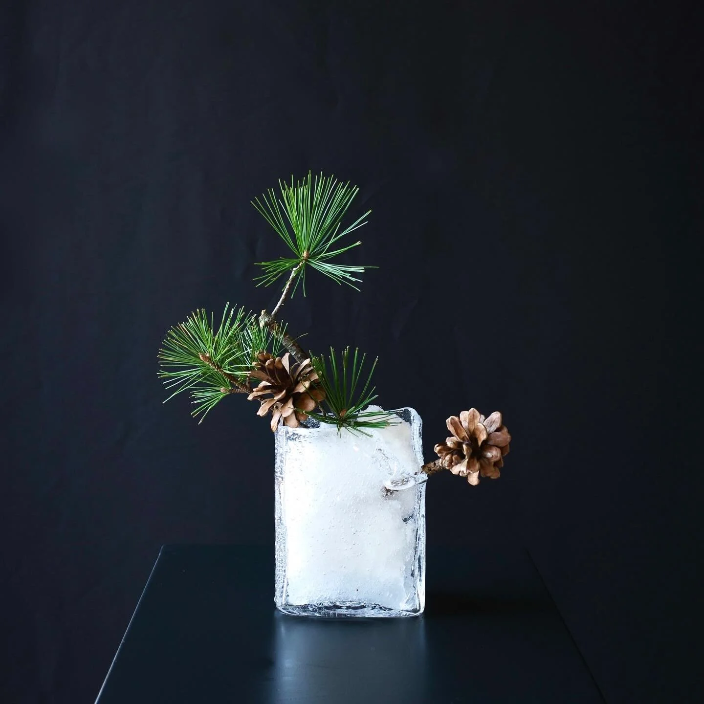 .
Deep winter days. Snow, and ikebana.

#ikebana
#sogetsu
#japaneseflowerarrangement
#草月
#草月流
