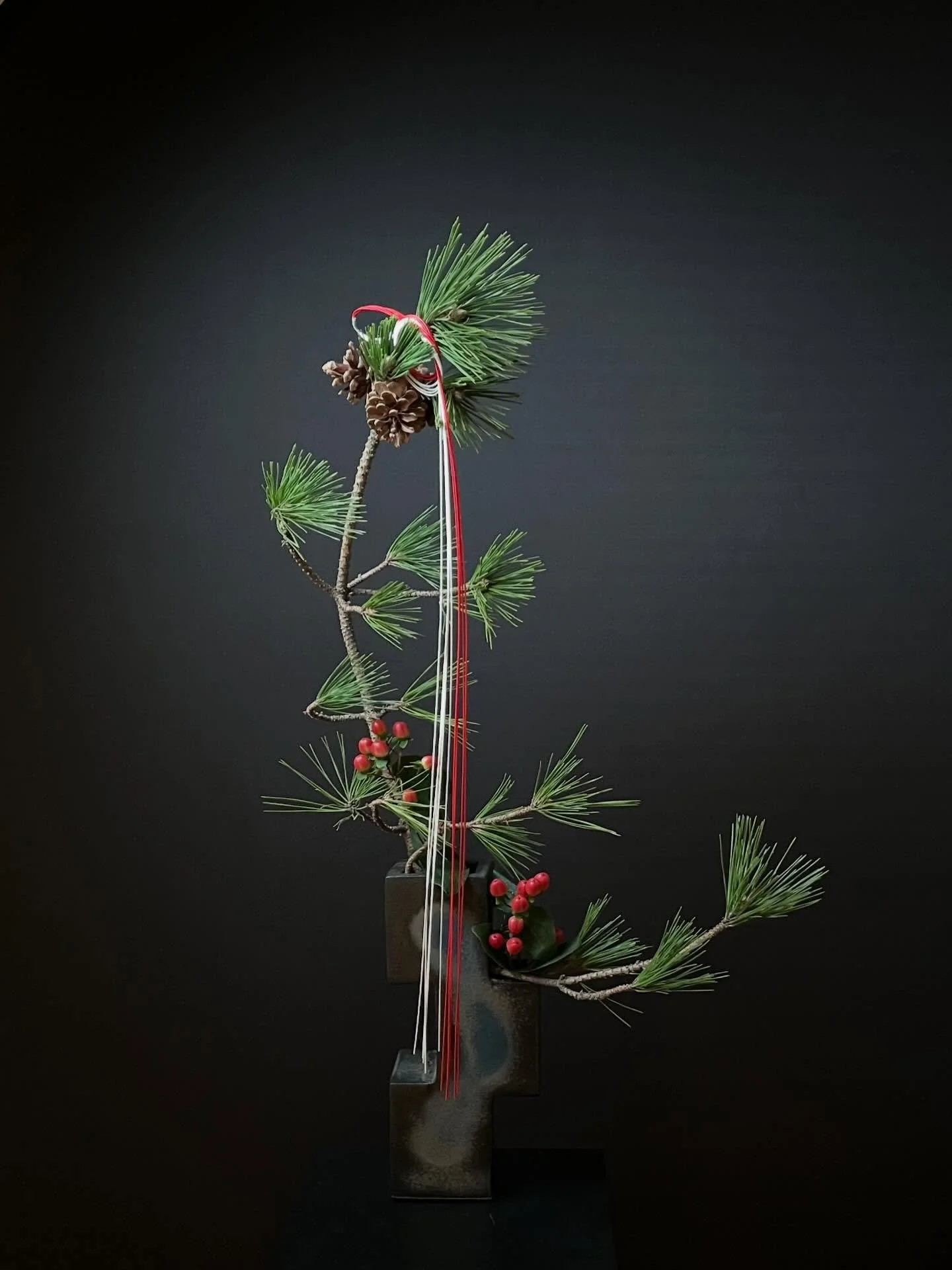 .
Happy New Year, Variation1

Happy New Year. Wishing you a healthy and hopeful 2026✨
To those on the East Coast, please stay warm and take care.

@ikebanachristine❤️

#ikebana
#sōgetsu 
#japaneseflowerarrangement
#草月
#生け花