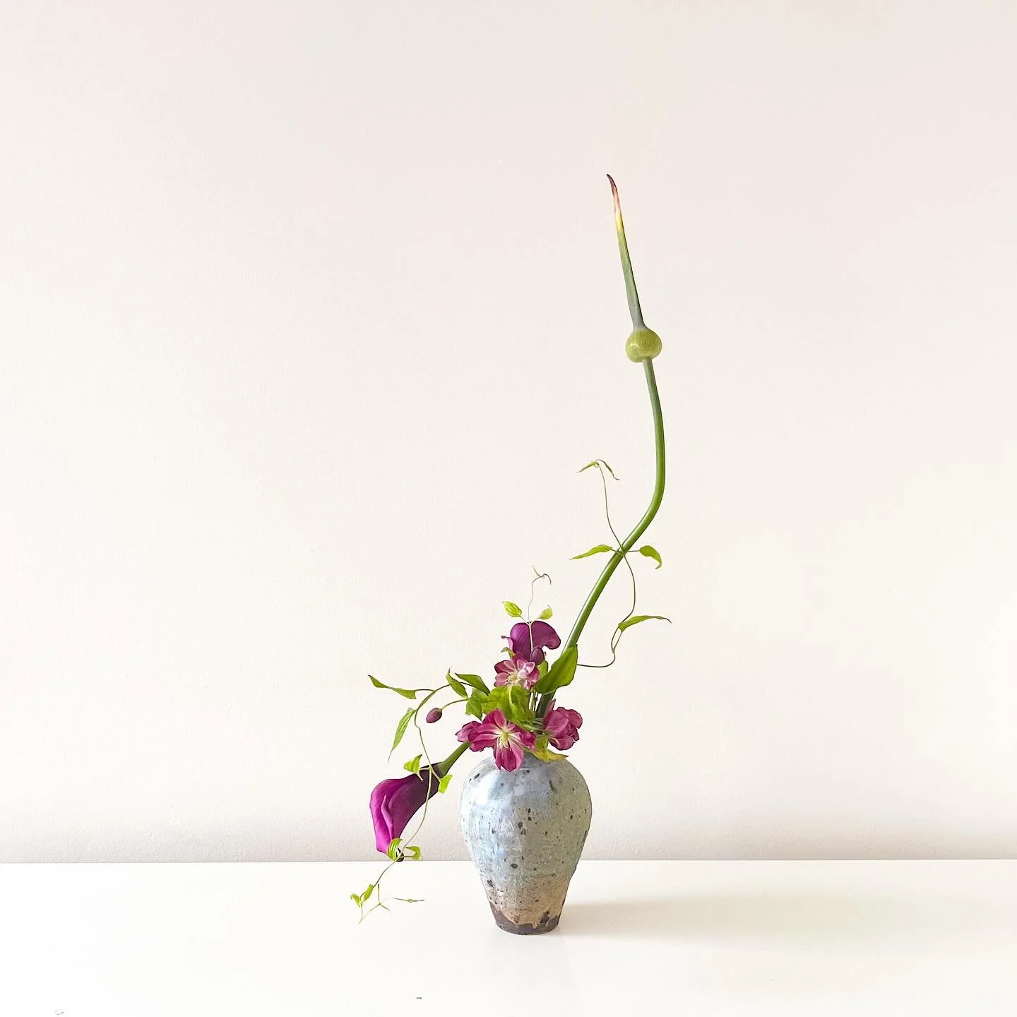 .
purple and green. rearranged the flower material from the class, thinking of &ldquo;ma&rdquo;.

#ikebana
#sogetsu
#sogetsuikebana
#japaneseflowerarrangement
#flower
#japaneseart
#flowerart
#いけばな
#生け花
#草月
#草月流
#calla
#helleborus
#stemonajaponica
#カラ