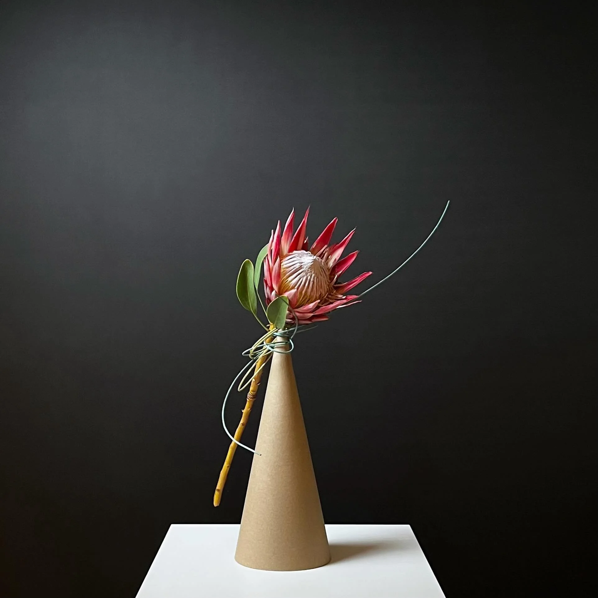 .
Balancing. 
It&rsquo;s tough to be balanced, but it was fun playing with the unpredictable.

@ikebanachristine ✨

#ikebana,#sogetsu, #japaneseflowerarrangement, #いけばな, #草月